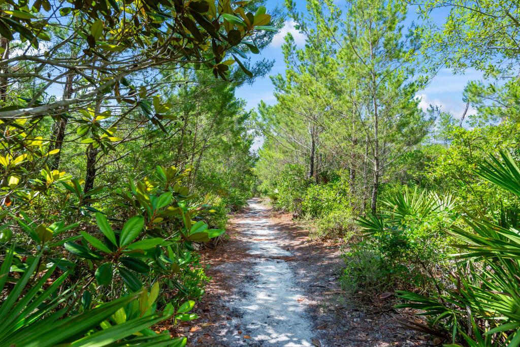 SOUND HAMMOCK - Residential