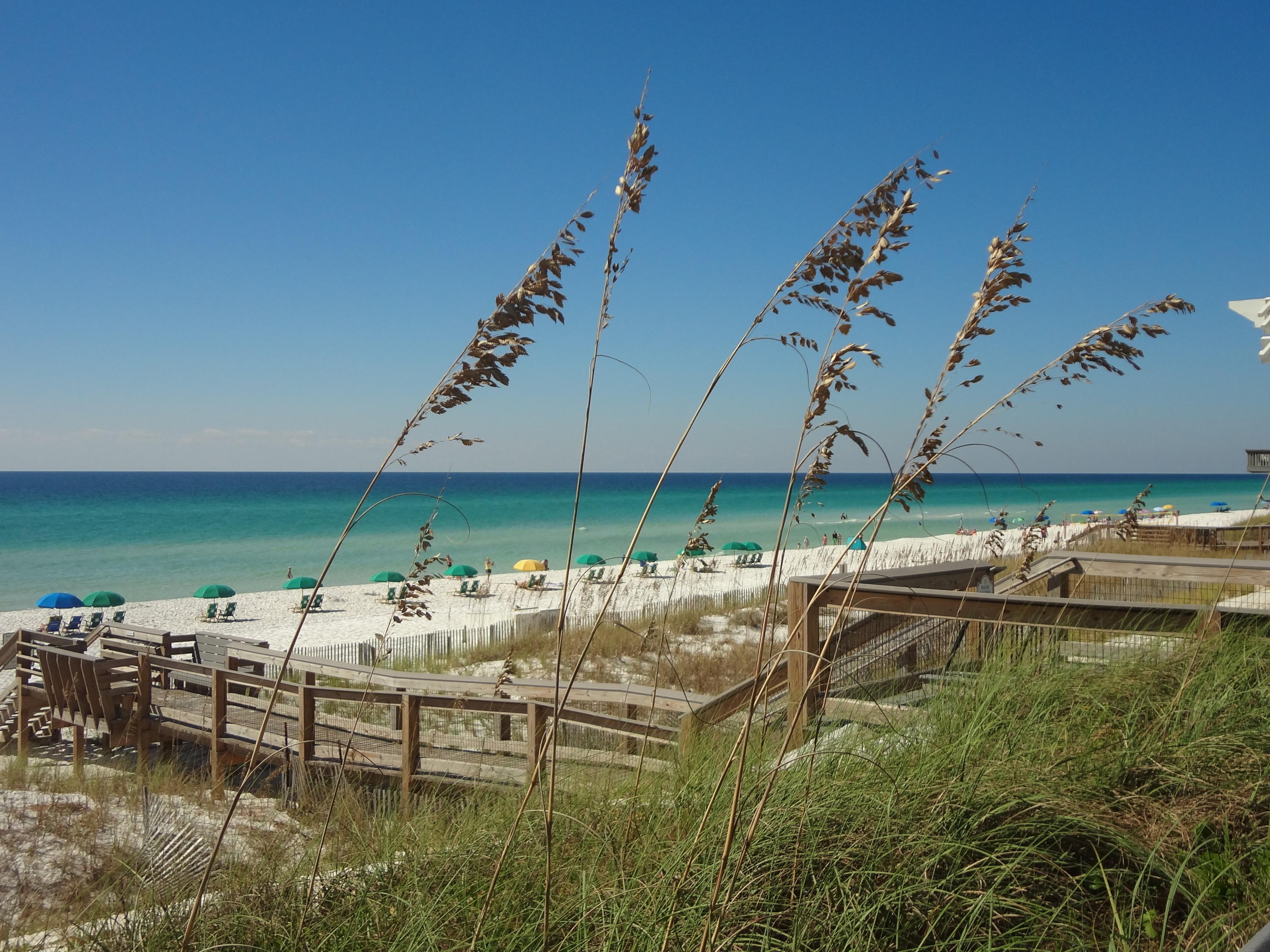 PARADISE RETREAT - Residential Lease