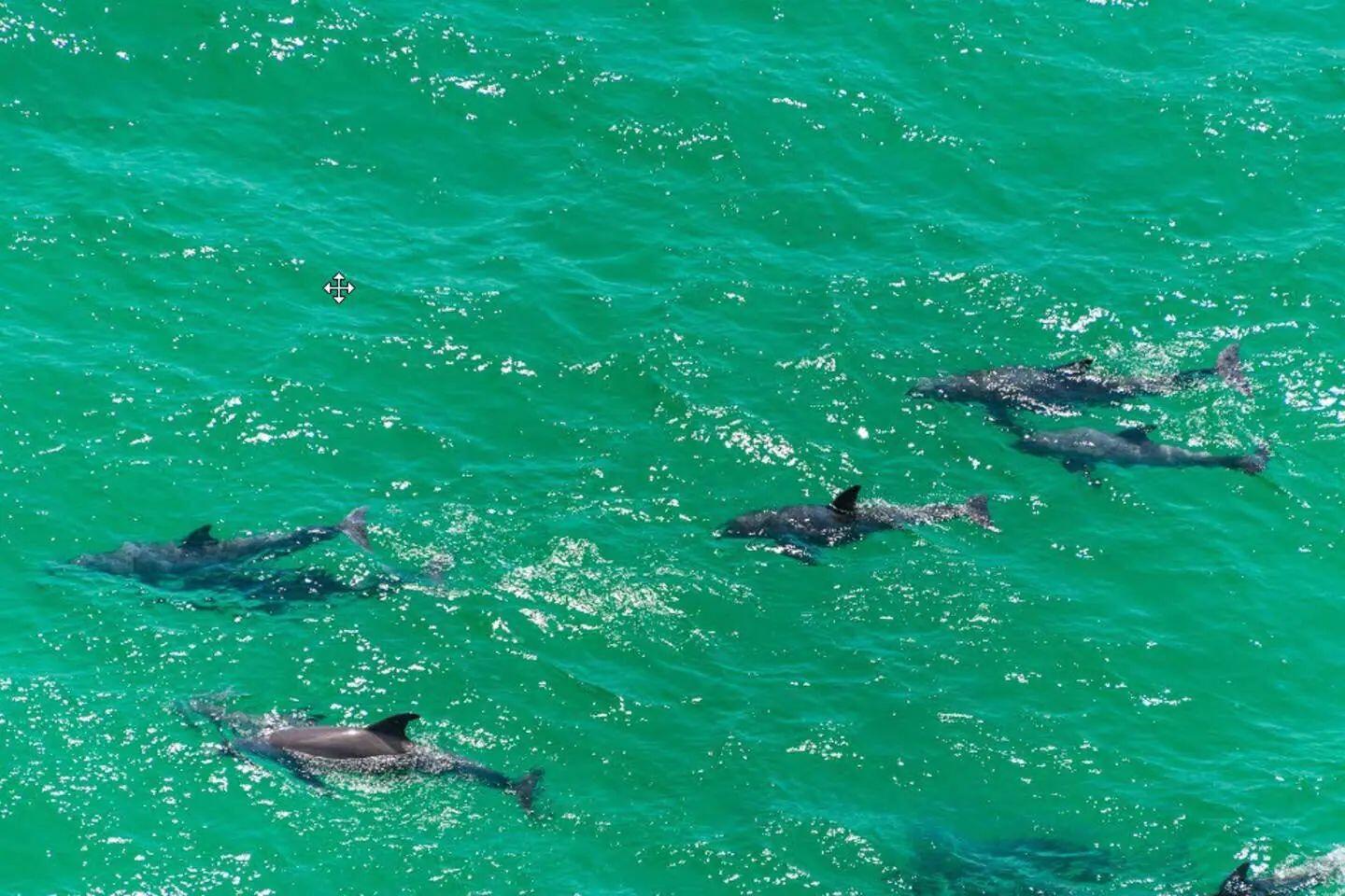 CAMP CREEK LAKE - Residential