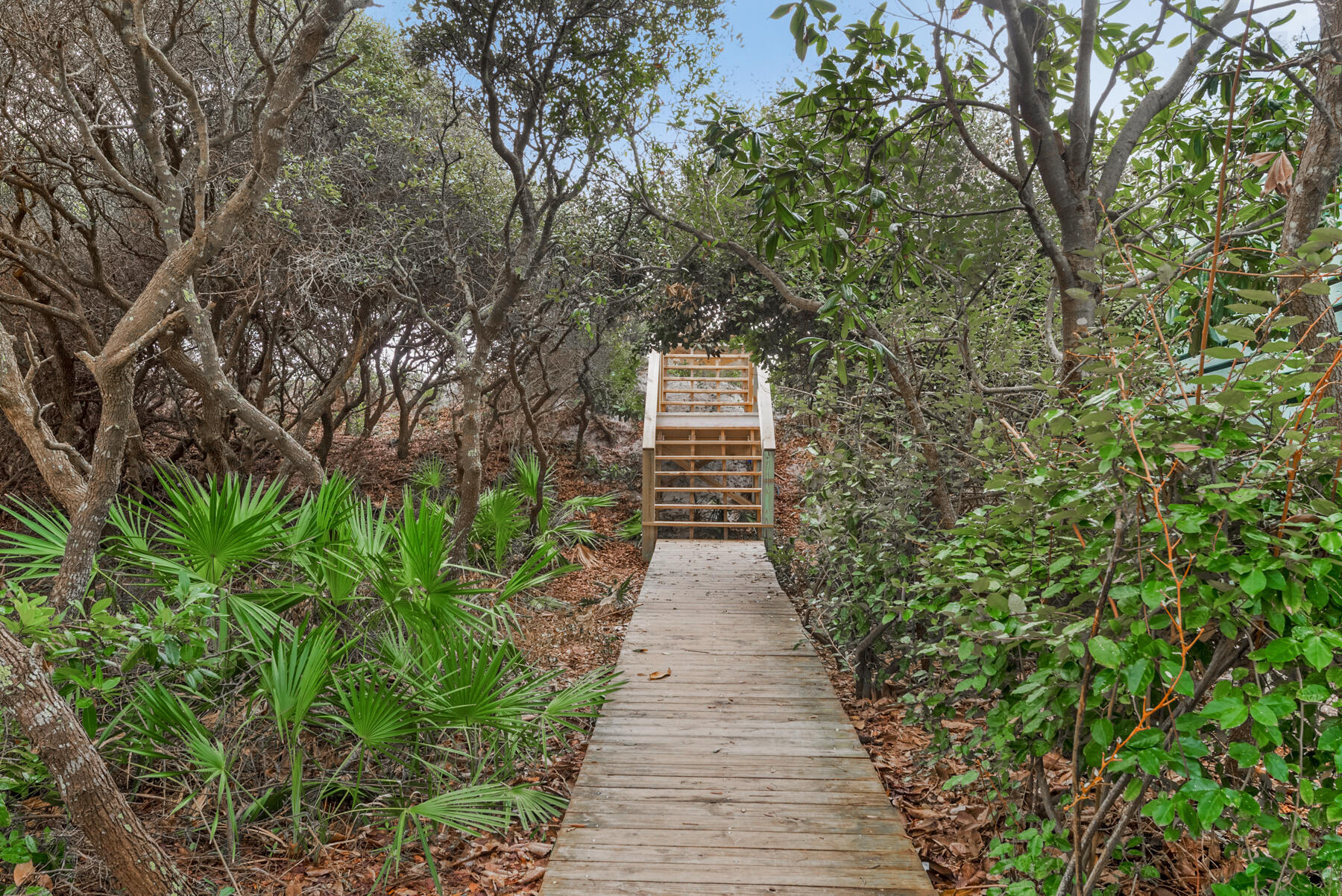 CAMP CREEK LAKE - Residential