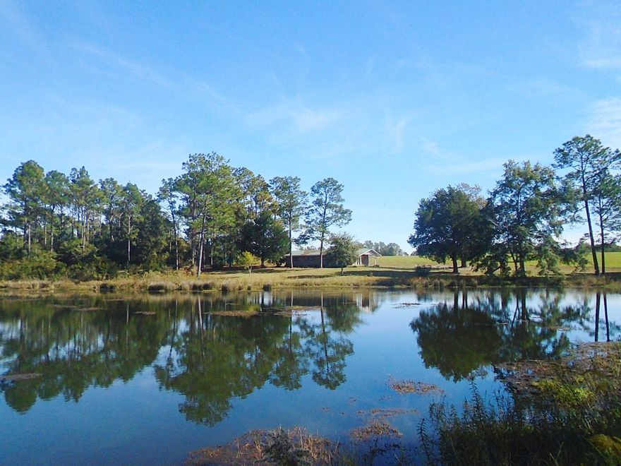 A property that offers just what you want - 6 acres that includes a 3 bedroom, 2 bath home, great pond, wooded land plus a 24x48 workshop where you could have an agriculture related business. Possible uses are listed in the file - all would need County Approval. Home has been upgraded with an up to date kitchen featuring stainless appliances. There is an extra room for an office, play room, craft room or nursery. Does not have a closet. Home features a 44x6 wrap porch plus single car carport. Home sits behind the pond to allow privacy.