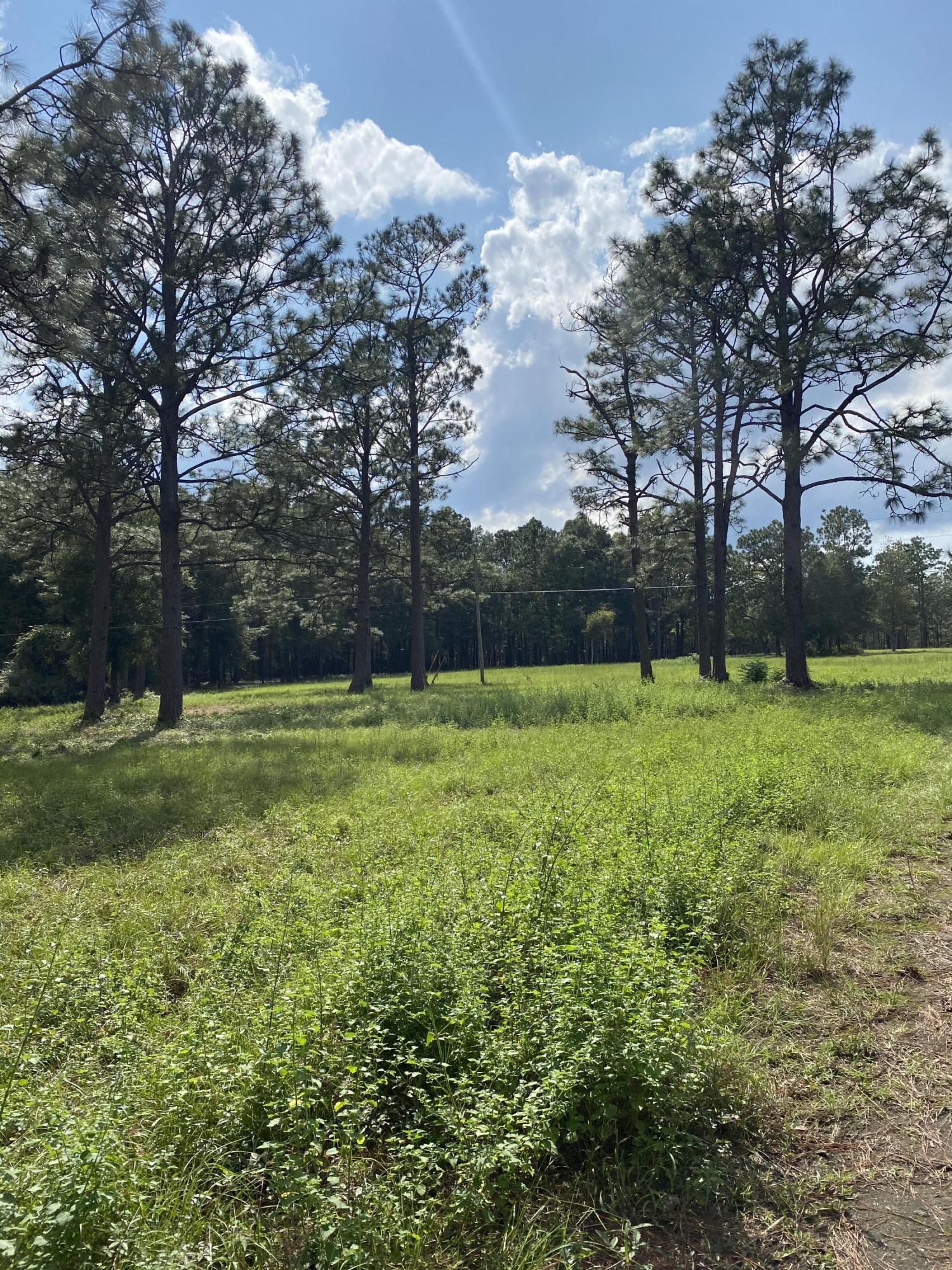 Metes and Bounds - Land