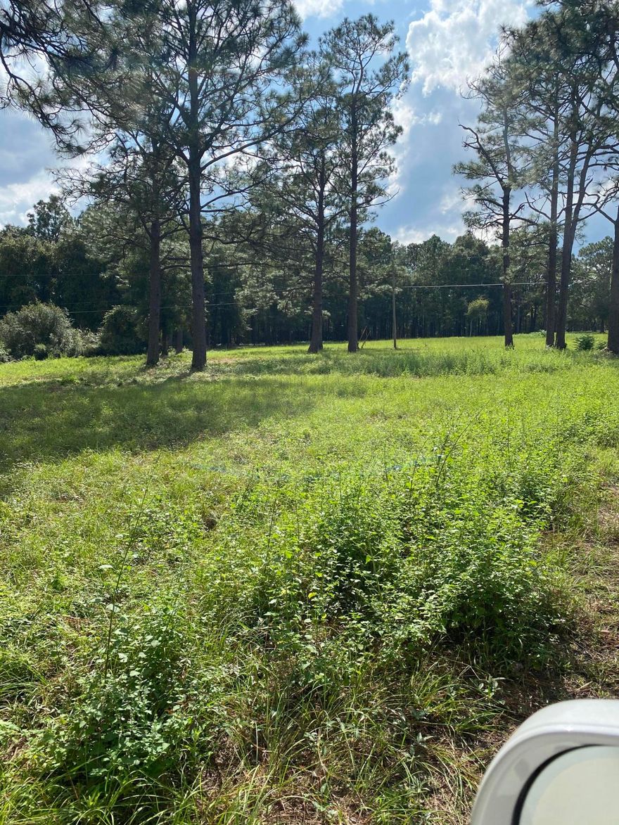 A beautiful ''home place'' for that dream home that you've been looking for! Only 3 miles north of DeFuniak, just north of Walton Road (schools).  Seller has just had the permit pulled for you to install your septic, there is a deep well on the property that just needs a pump and Seller is in the process of having a power pole permitted and installed.  If you are a developer, this property is zoned for 2 houses/acre. Or 4 houses per acre if you choose to have city water run to the property. You will feel like you are in the country, but yet private and 5 miles to Walmart!