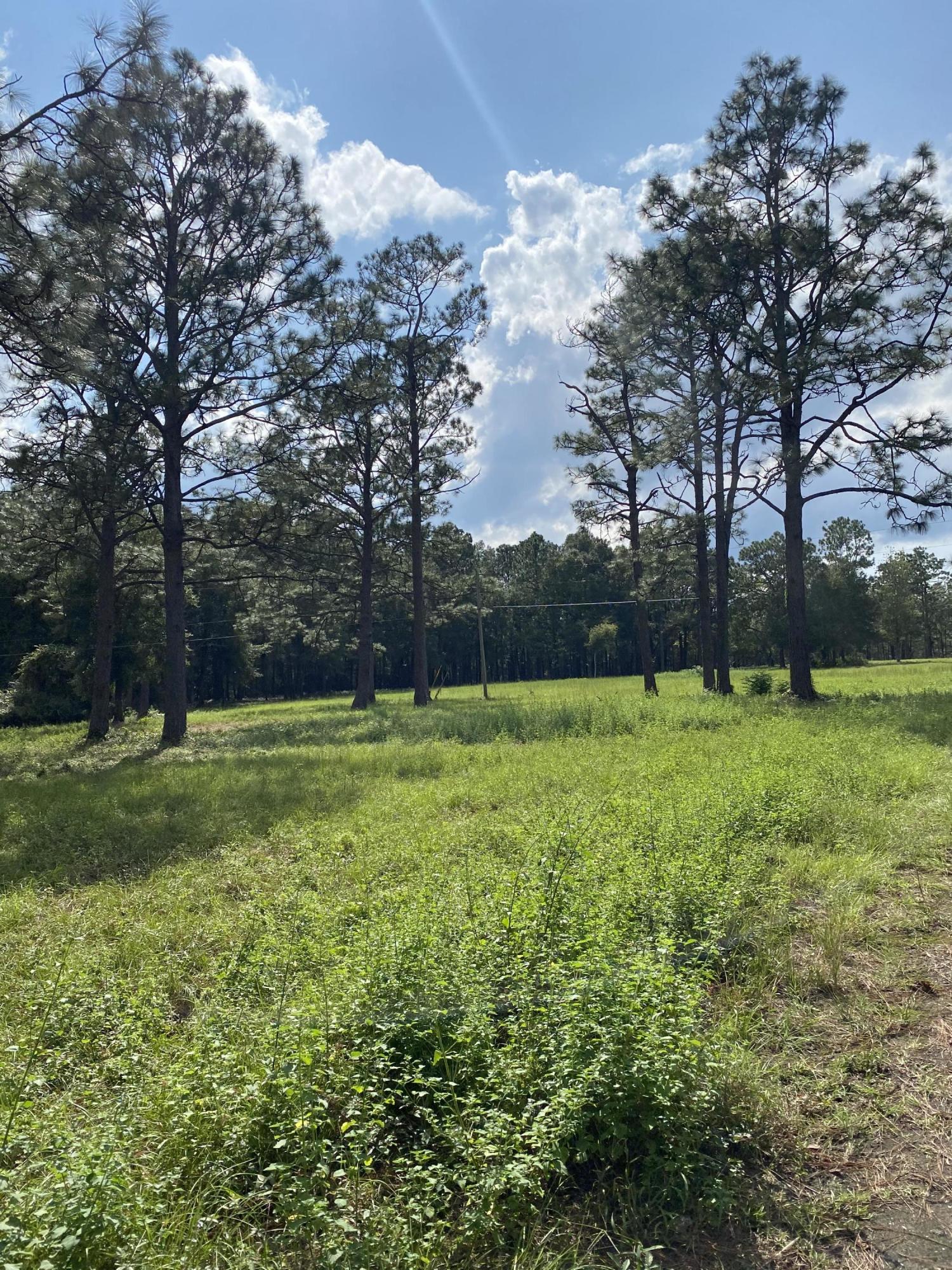 Metes and Bounds - Land