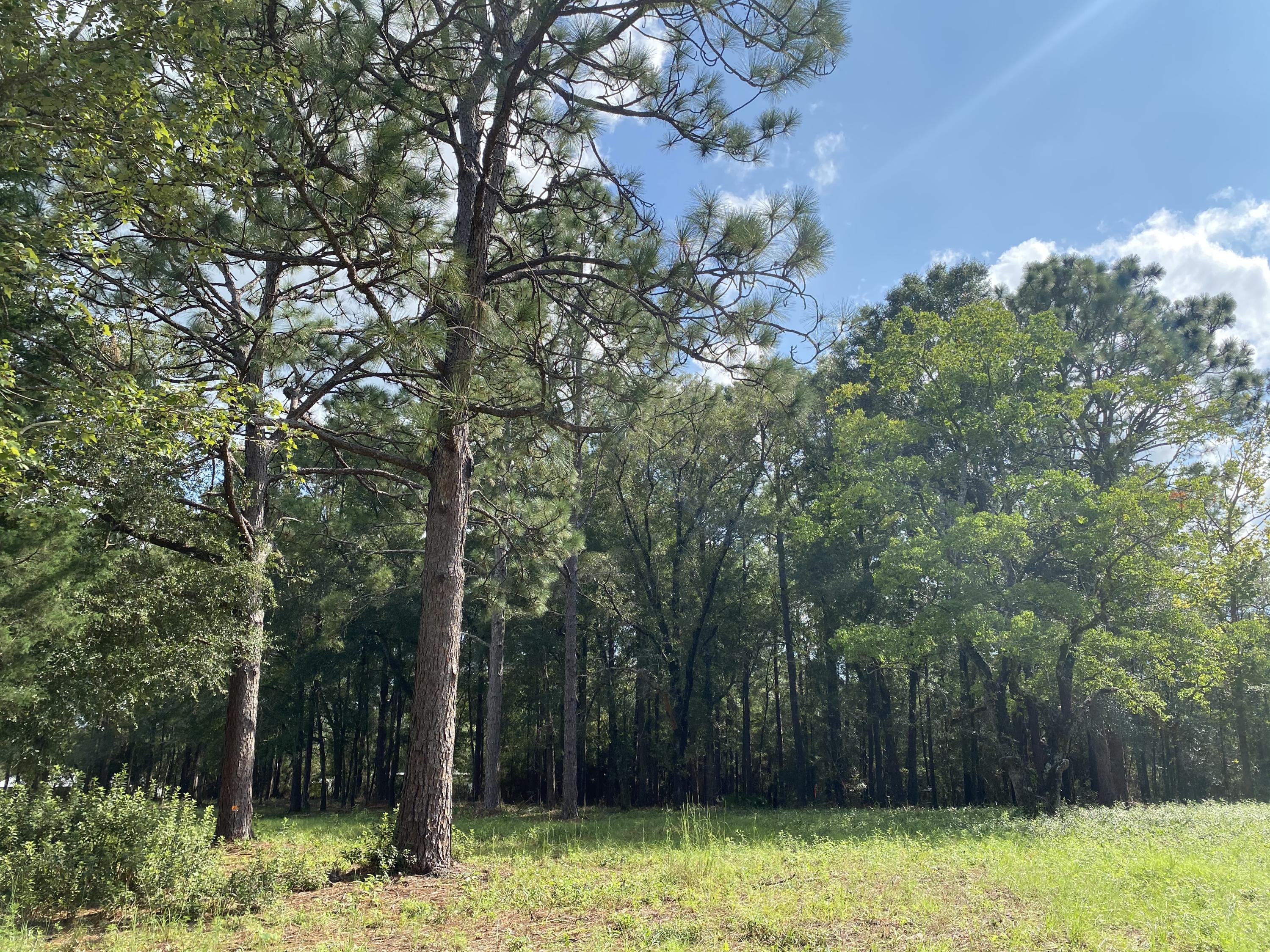 Metes and Bounds - Land