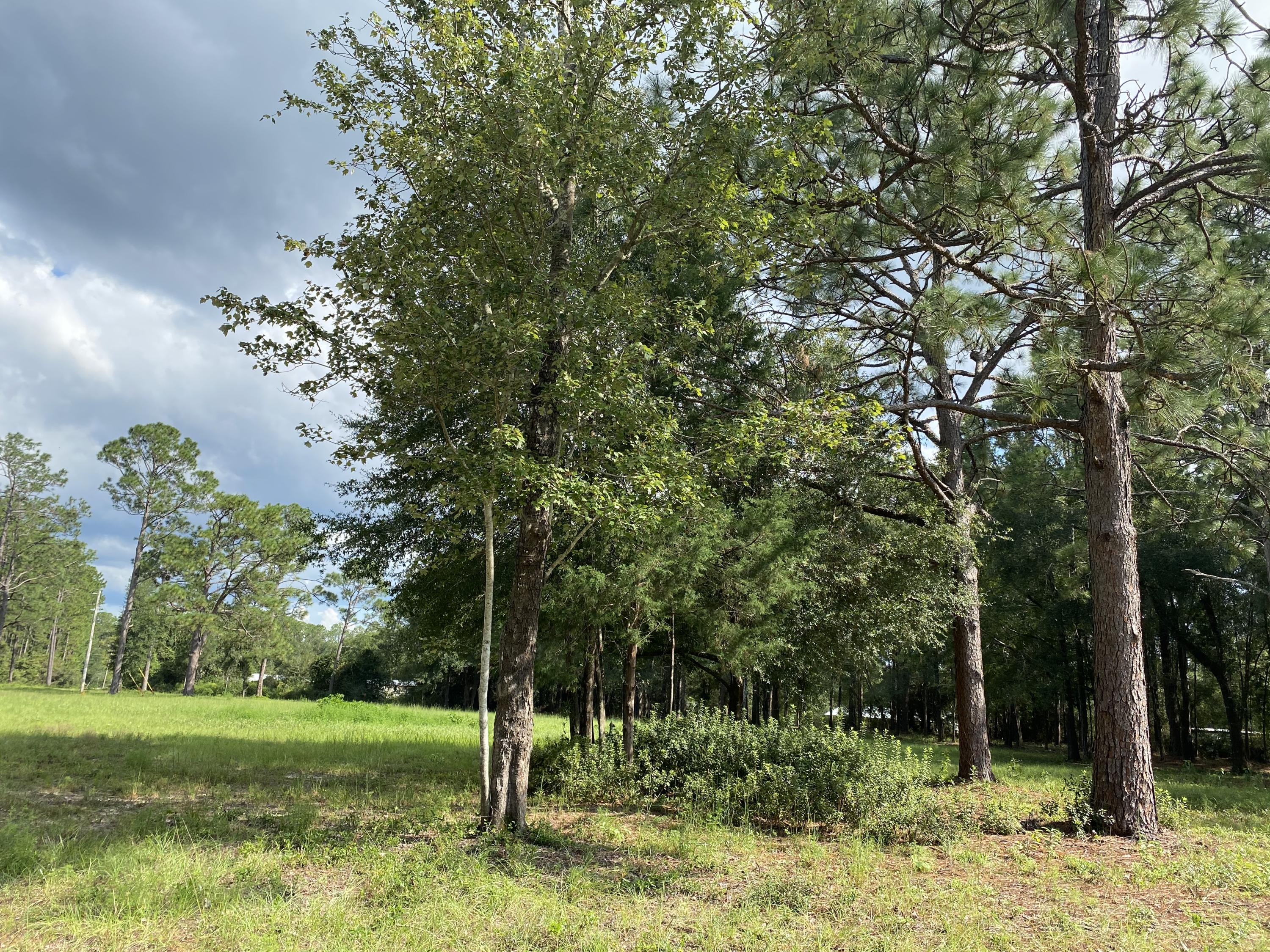 Metes and Bounds - Land