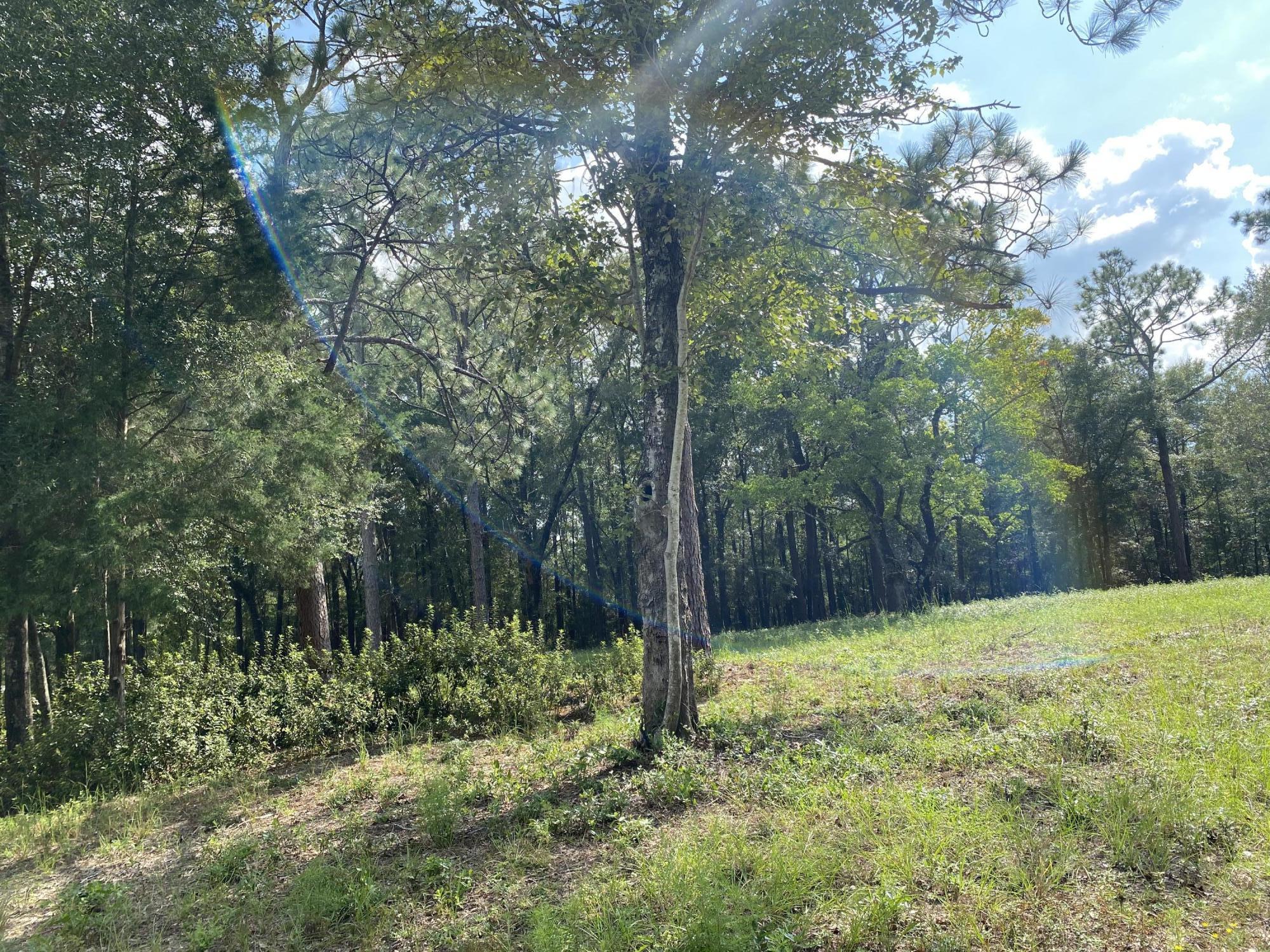 Metes and Bounds - Land