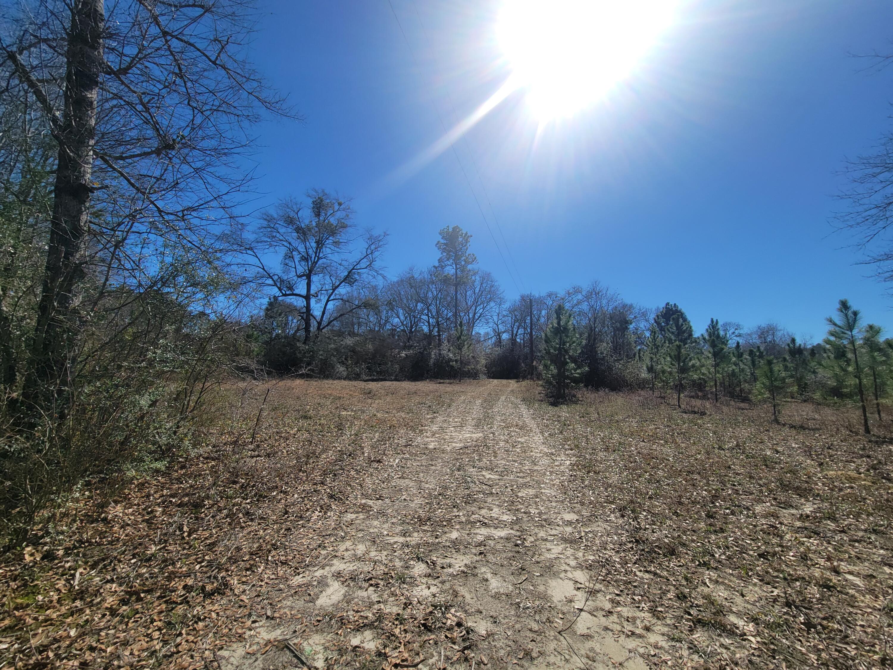 10 acres ready for a new house or manufactured home. There is an older home that has been given no value, septic and well were given no value due to age and no pump on shallow well. (house is beyond fixer-upper condition) ...Seller has ordered new 10 acre survey of the East 1/ 2 of his legal description. Survey is underway today. Property has some old fencing, but not completely fenced. Gate is locked to the property, please call Agent to show Properrty.