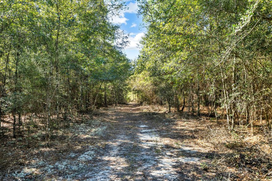 Potential opportunity for commercial 
and/or residential development with
 access to a growing high traffic corridor of Walton County situated on 2 main ingress and egress roads, Walton Road 
and US  Hwy 331. 
WIth other 60+ acres, a stream and pond 
the opportunities are endless!
 This property has the potential to be developed into multiple homesites with 
over 200 homes. **If rezoned to r-2**
Sec. 18-44. - "R-2" Multiple family residential district. 
(a)Uses allowed without review.(1)Any allowed use without review in R-1.(2)Two-family or multifamily dwellings.(3)Doctor's or dentist's office.(4)Nursery schools.(5)Accessory uses to those above not involving the conduct of any business, trade or occupation.(b)Use exceptions allowed upon special approval.(1)Any use allowed by special approval in R-1.(2)Bed and breakfast establishments.(3)Hospitals, clinics, sanitariums, convalescent homes, nursing homes.(4)Orphanages, institutions for the aged, indigent or inform, but not including mental cases.(5)Rooming houses.(6)Nursery schools.(7)Professional offices.(c)Prohibited uses. All other uses.(d)Requirements.
Minimum Lot Size Minimum Lot Width Front Yard Side Yard Rear Yard Maximum Height
Single-family dwellings 5,000 sq. ft. 50 ft. 20 ft. 5 ft. 10 ft. 2 stories or 35 ft.
Duplexes 6,500 sq. ft. 6,500 sq. ft. 20 ft. 7 ft. 15 ft. 2 stories or 35 ft.
Multi family dwellings 10,000 sq. ft. 100 ft. 30 ft. 7 ft. 20 ft. 4 stories or 60 ft.
Other uses 6,000 sq. ft. 6,000 sq. ft. 30 ft. 7 ft. 20 ft. 2 stories or 35 ft.
 

;adv=6;(e)Maximum density. The maximum number of dwelling units allowed per gross acre in the multiple family residential district shall be sixteen (16) dwelling units so long as all other provisions of this code are satisfied. The maximum density for other uses in the multiple family residential district shall be a floor area ratio of 1.0 so long as all other provisions of this code are satisfied.
(Ord. No. 881 , § 18.44, 6-26-2017; Ord. No. 936 , § 3(Att. A), 3-14-2022)