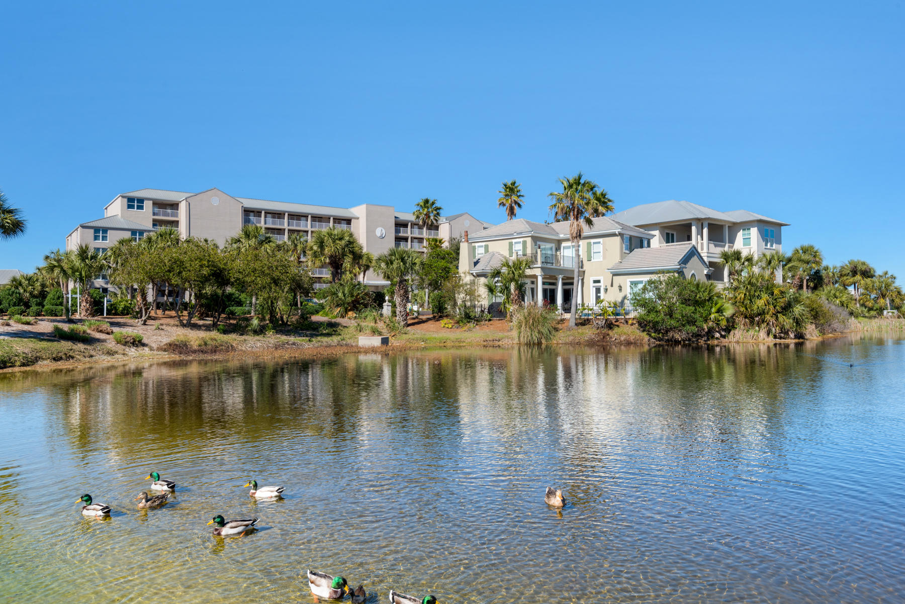 MAGNOLIA HOUSE - Residential