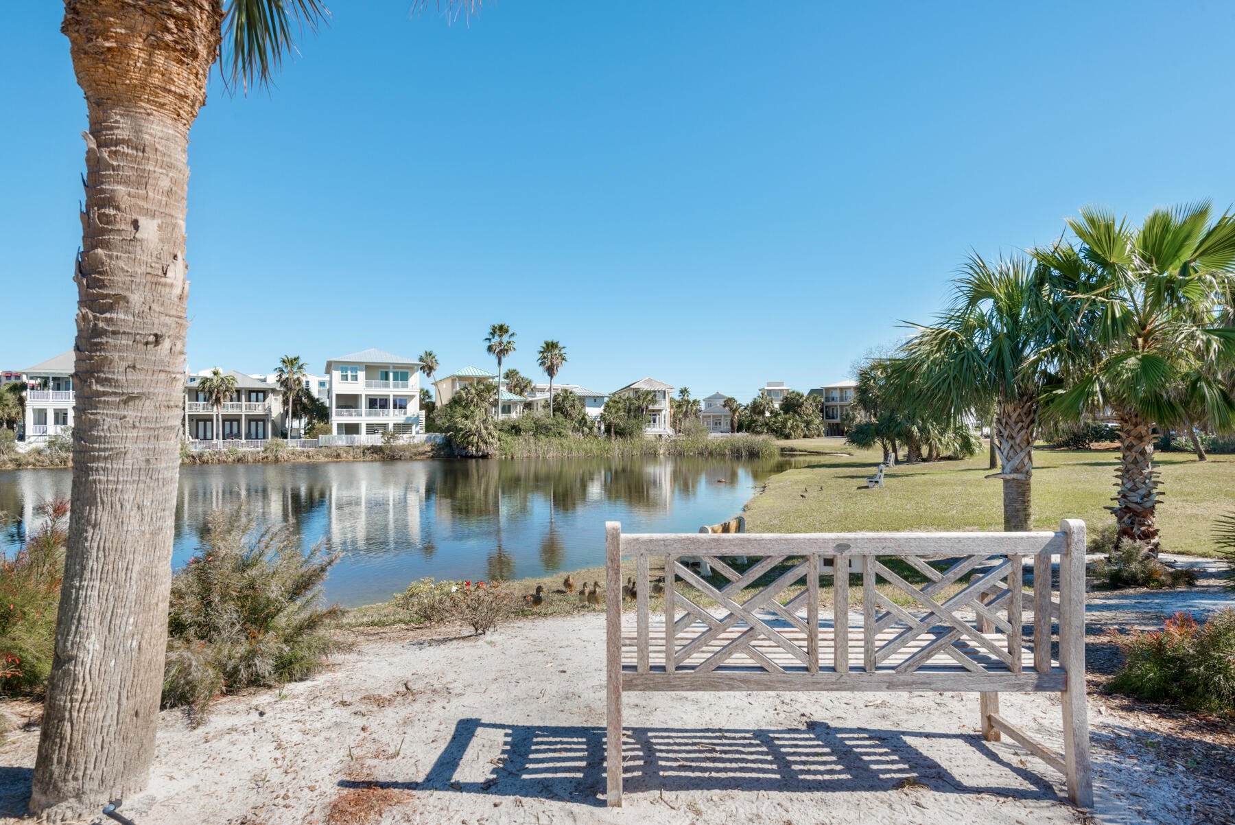 MAGNOLIA HOUSE - Residential