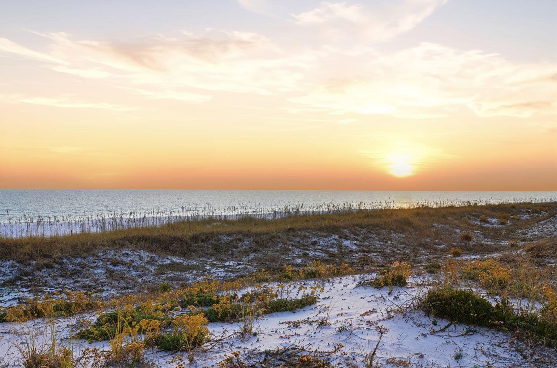 THE PALMS OF DESTIN - Residential