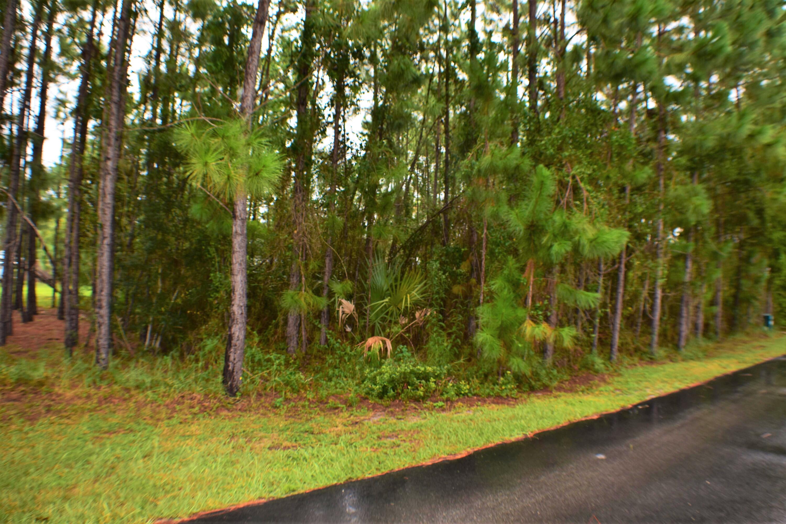 HARBOUR TOWNE - Land