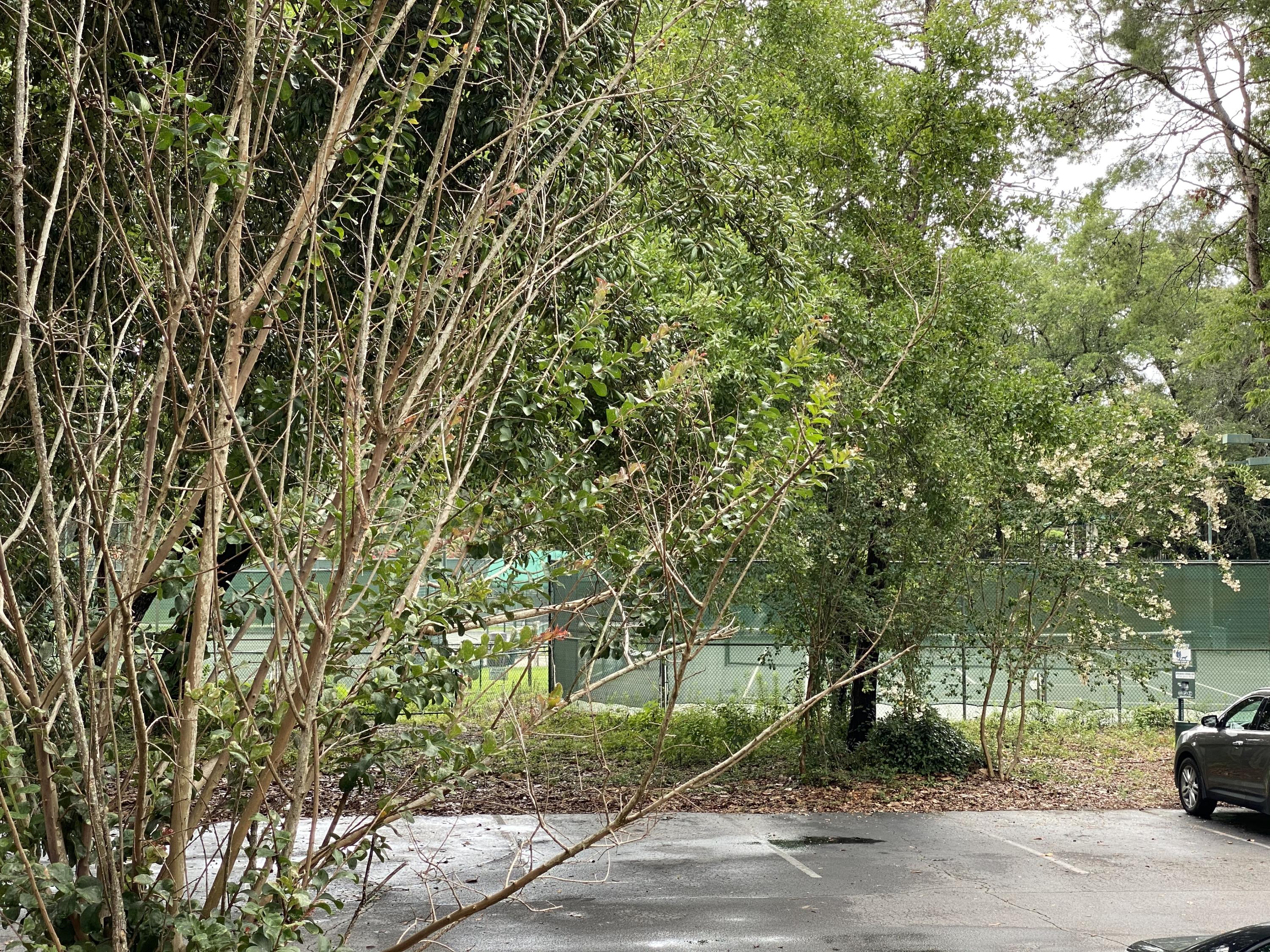 LAKESIDE CONDO AT BLUEWATER BAY - Residential Lease