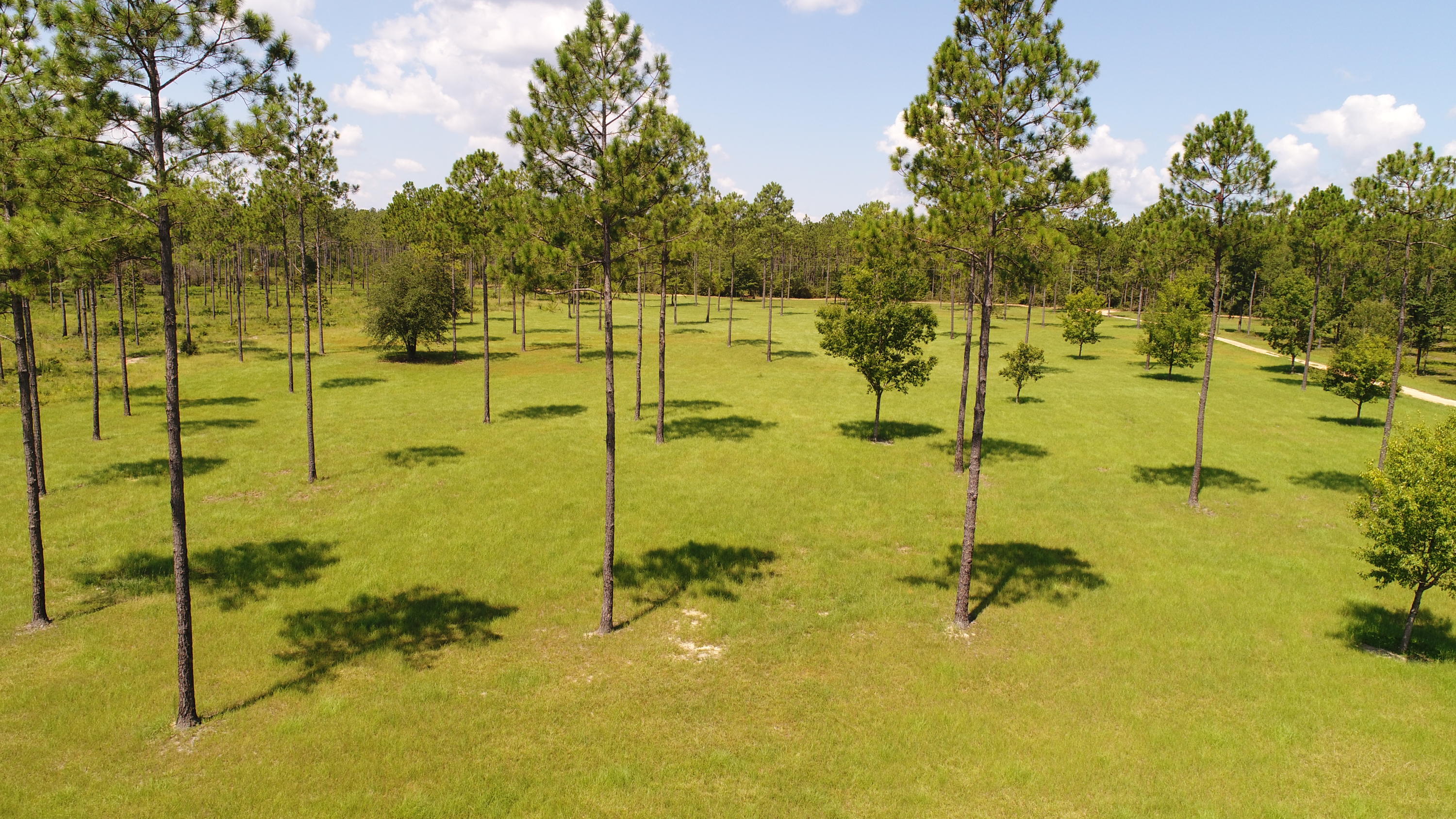 WALTON PLANTATION - Residential