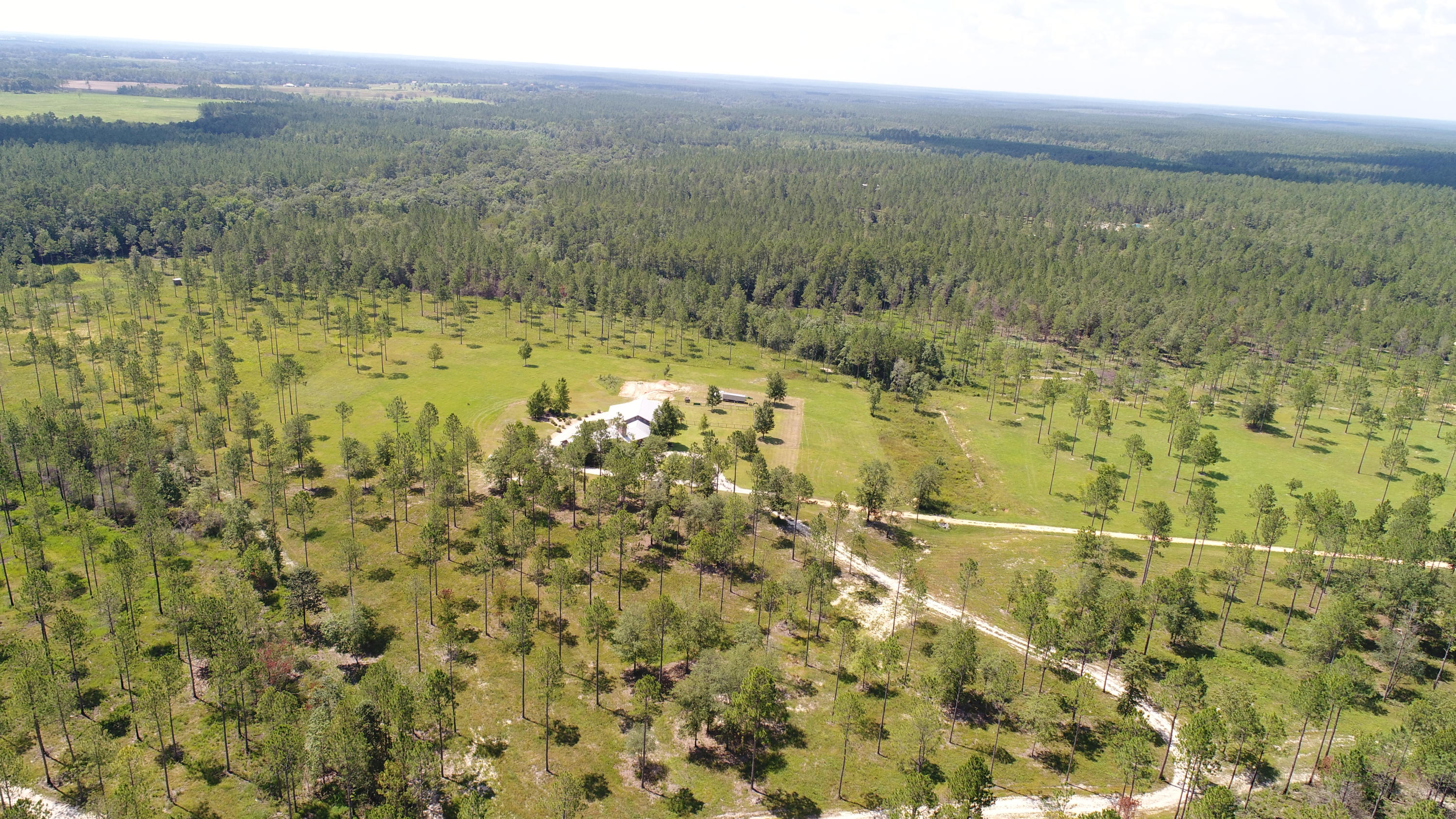 WALTON PLANTATION - Residential