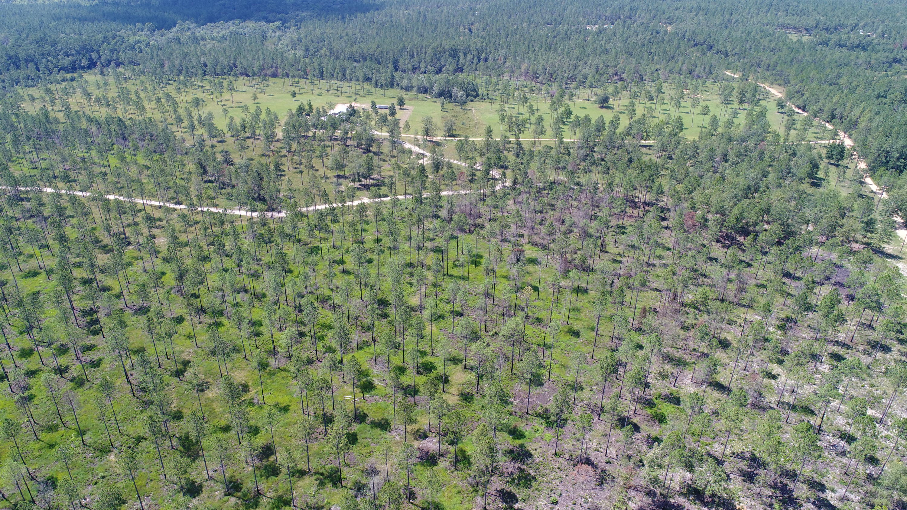 WALTON PLANTATION - Residential
