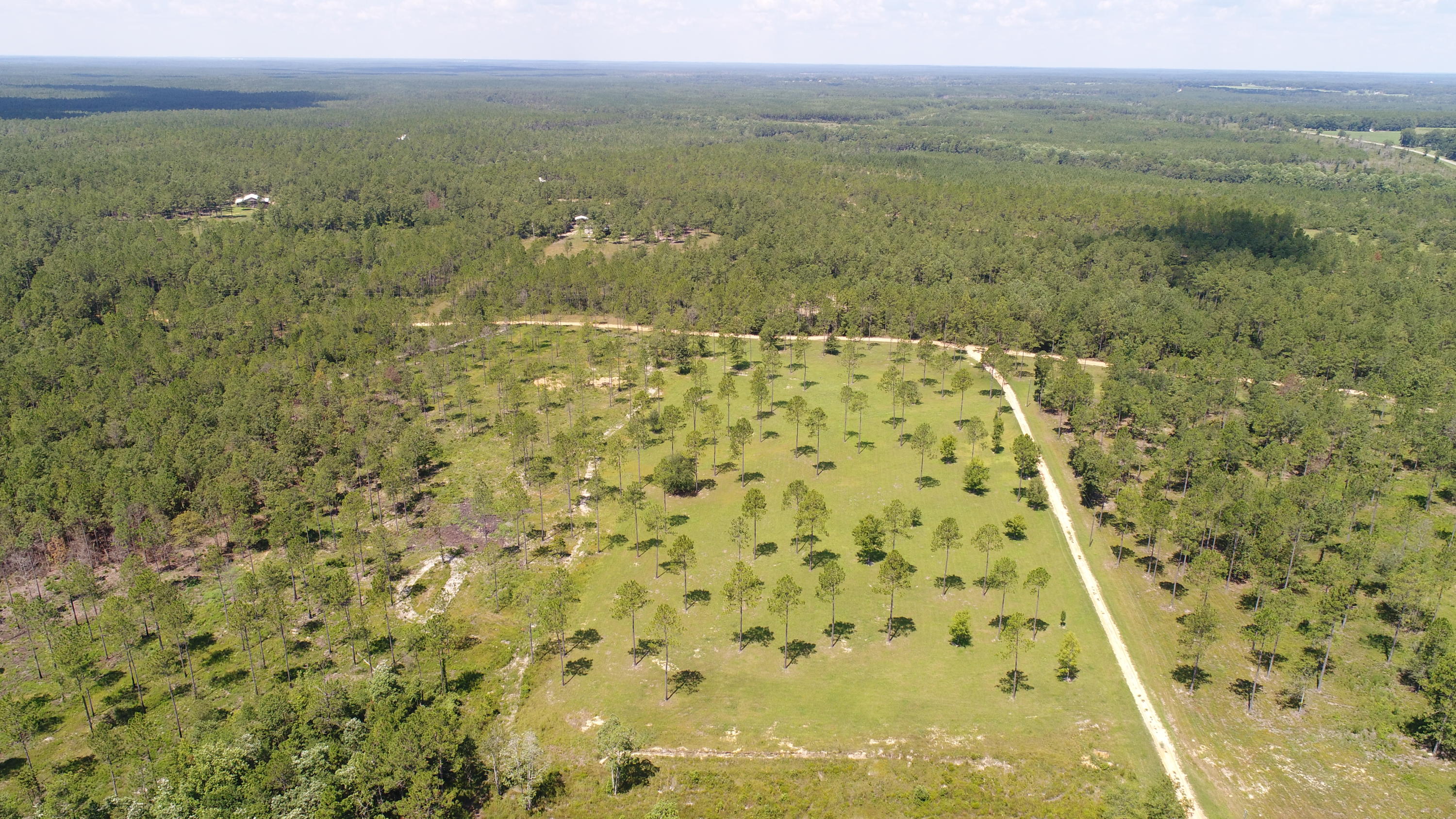 WALTON PLANTATION - Residential
