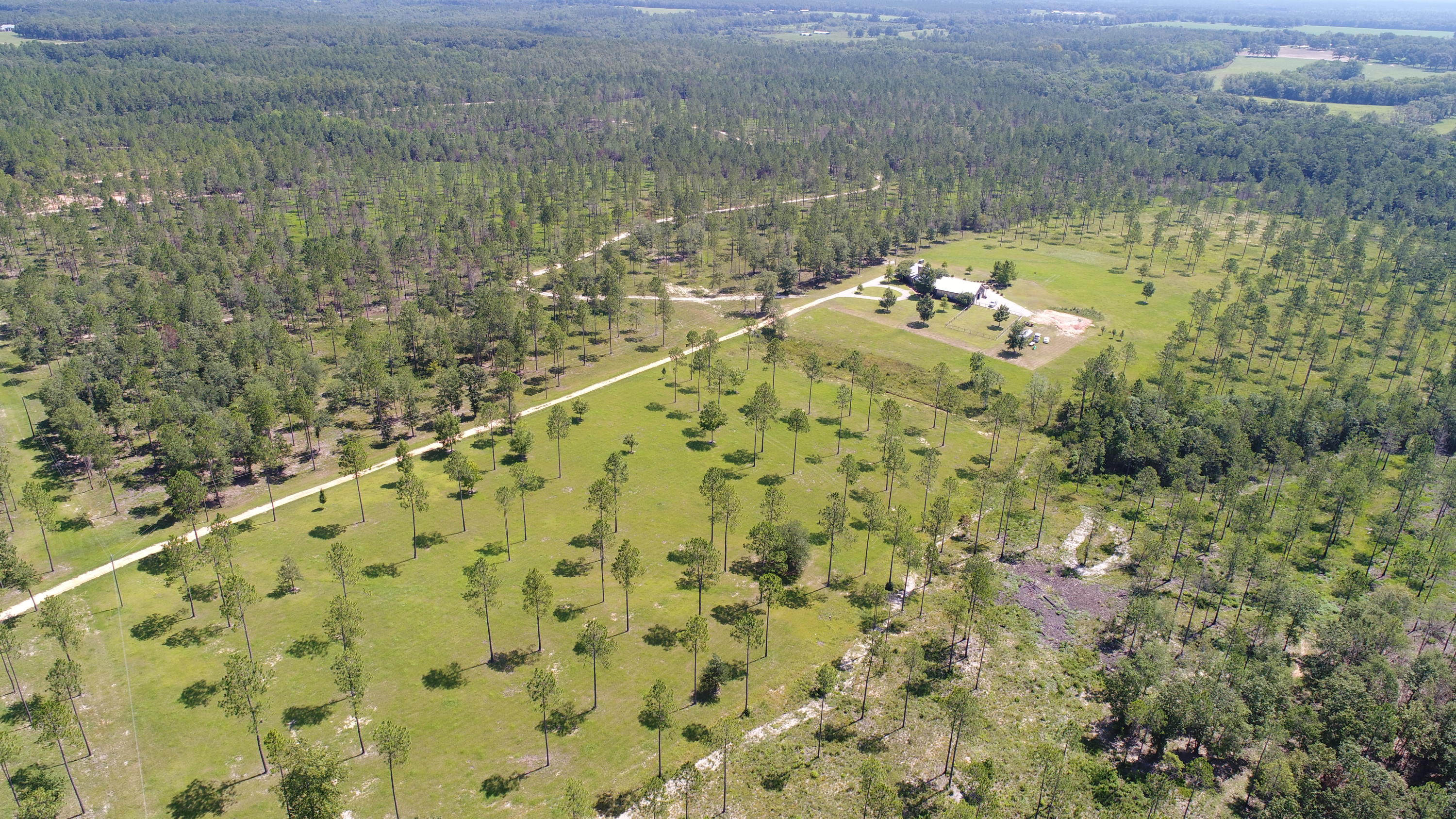 WALTON PLANTATION - Residential