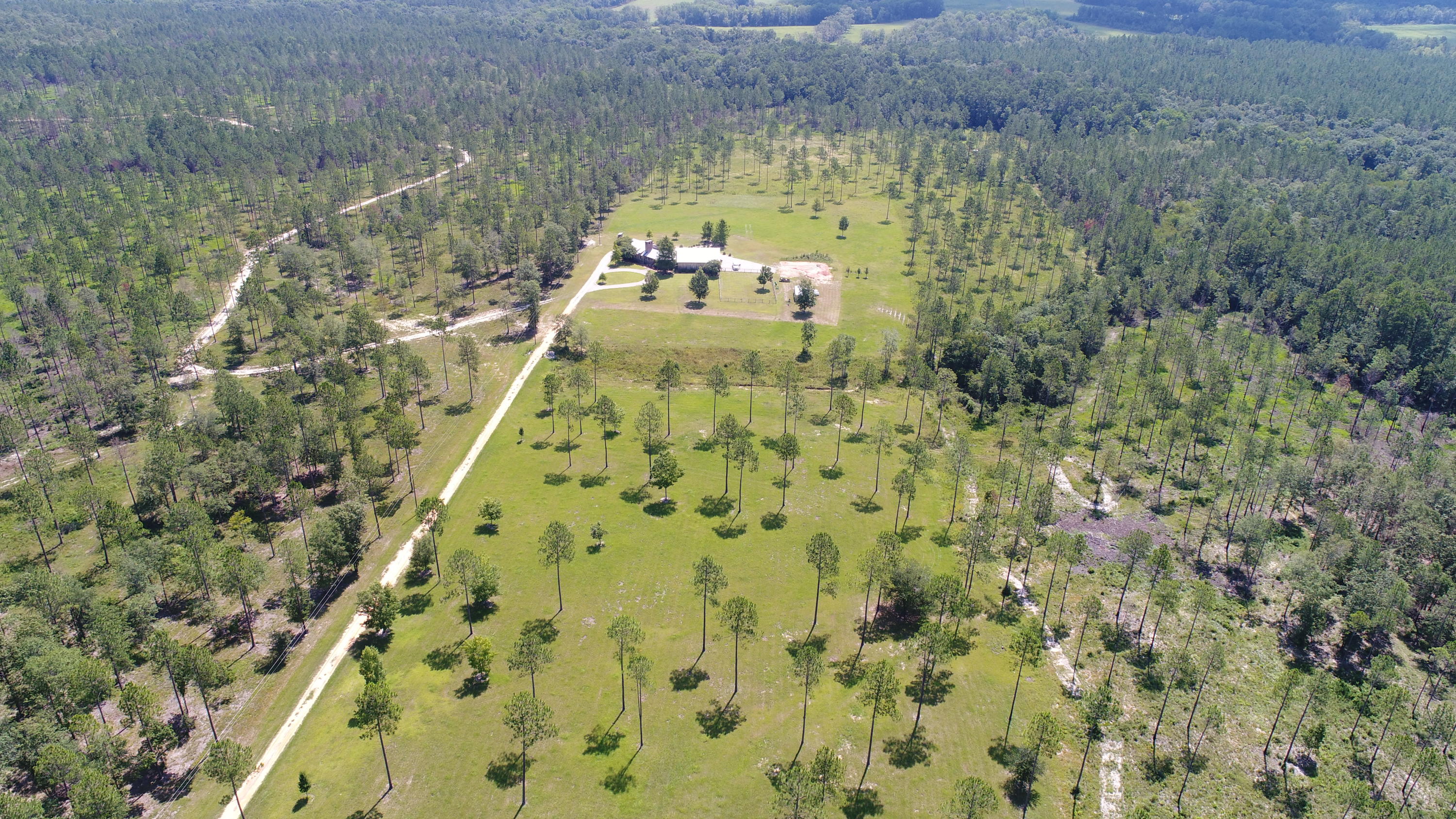 WALTON PLANTATION - Residential