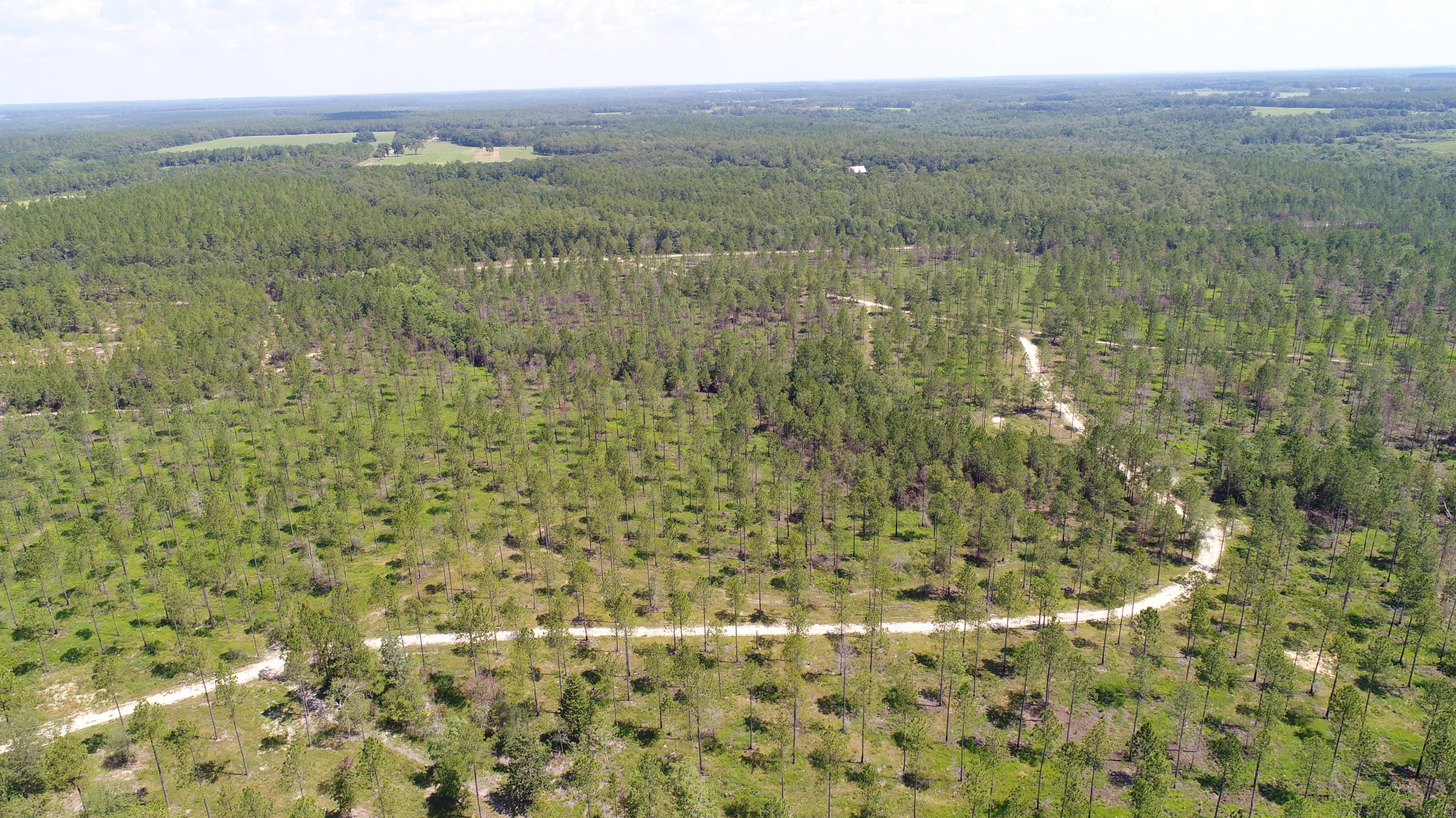 WALTON PLANTATION - Residential