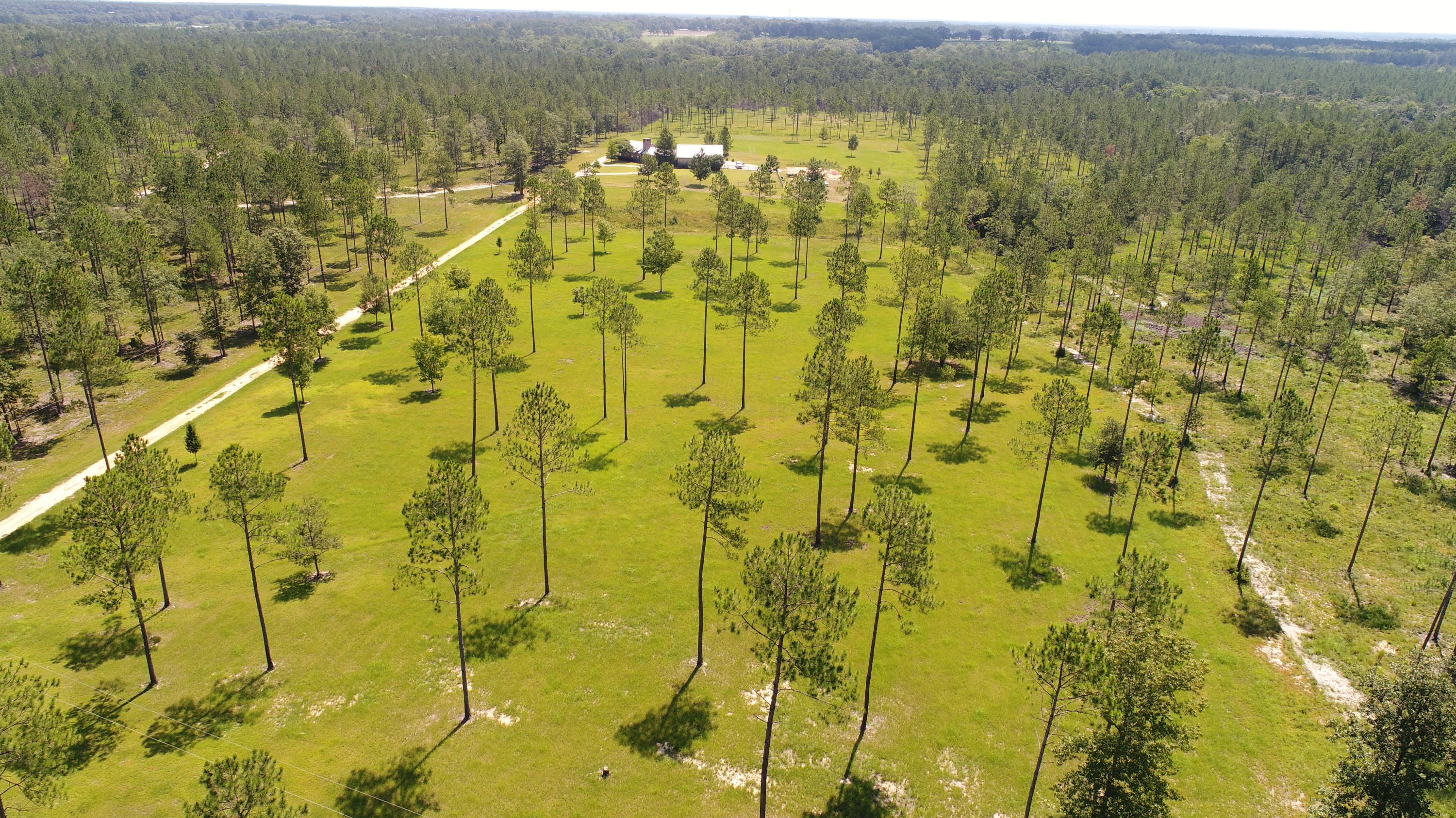 WALTON PLANTATION - Residential