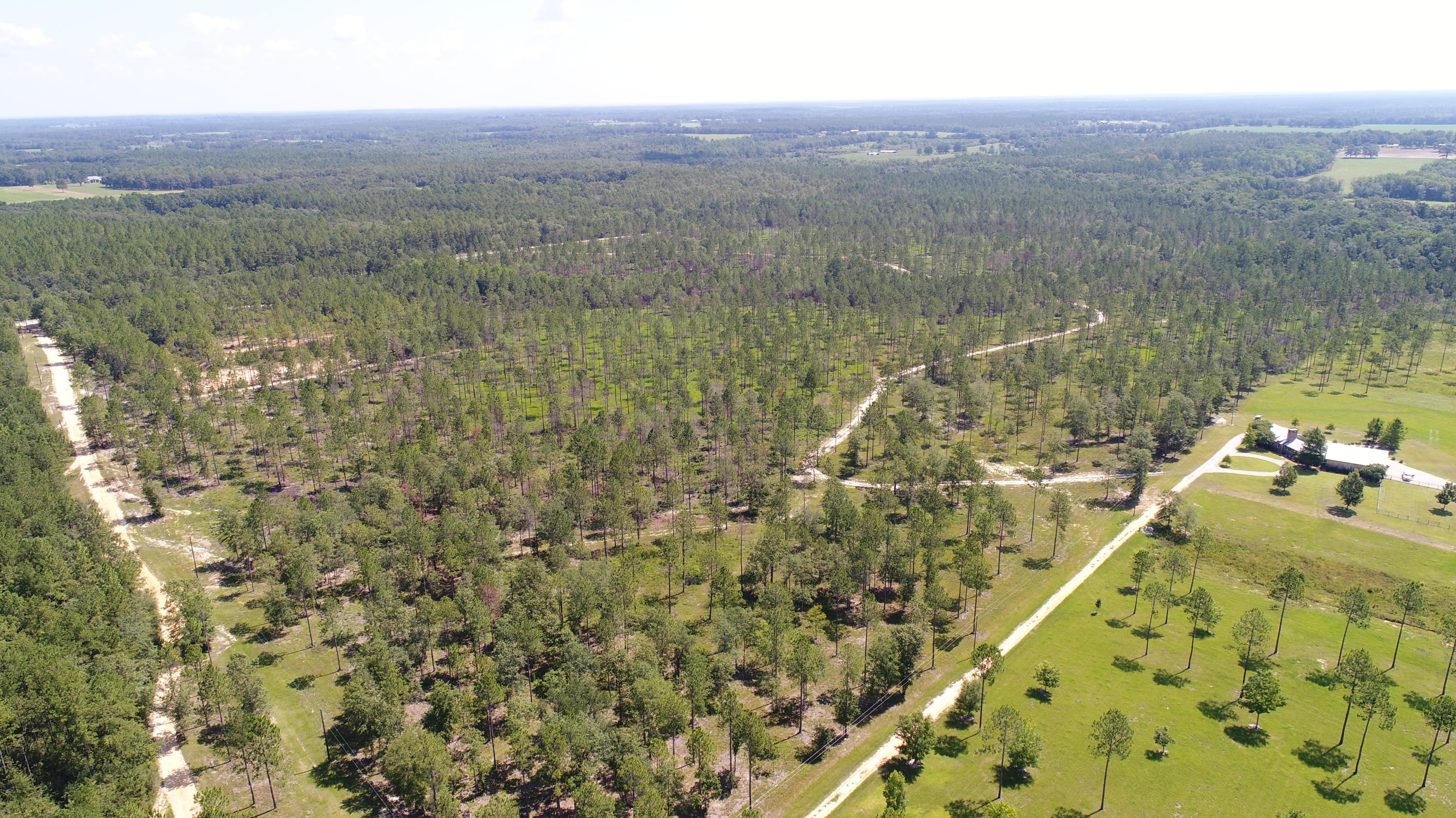 WALTON PLANTATION - Residential