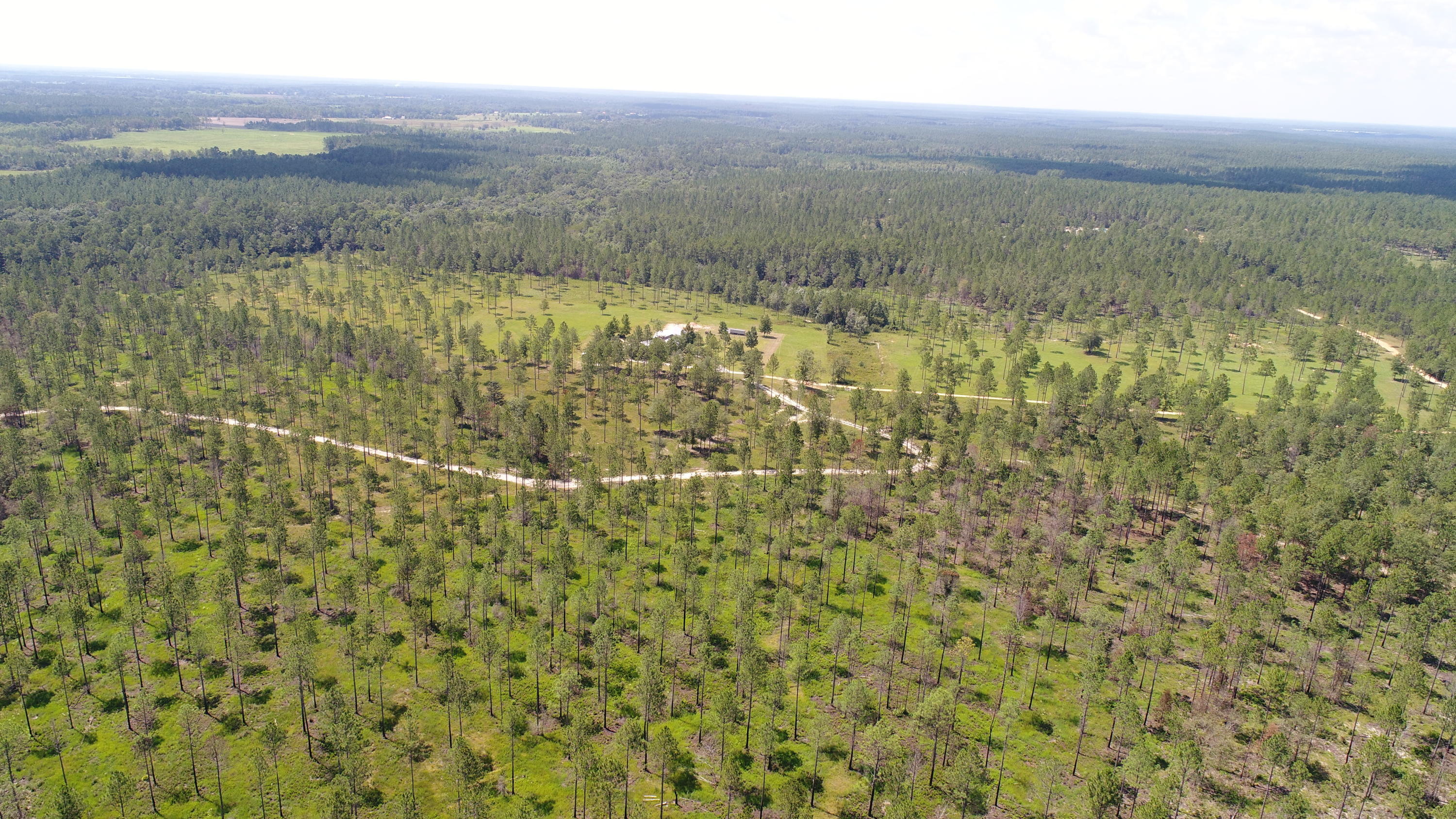 WALTON PLANTATION - Residential