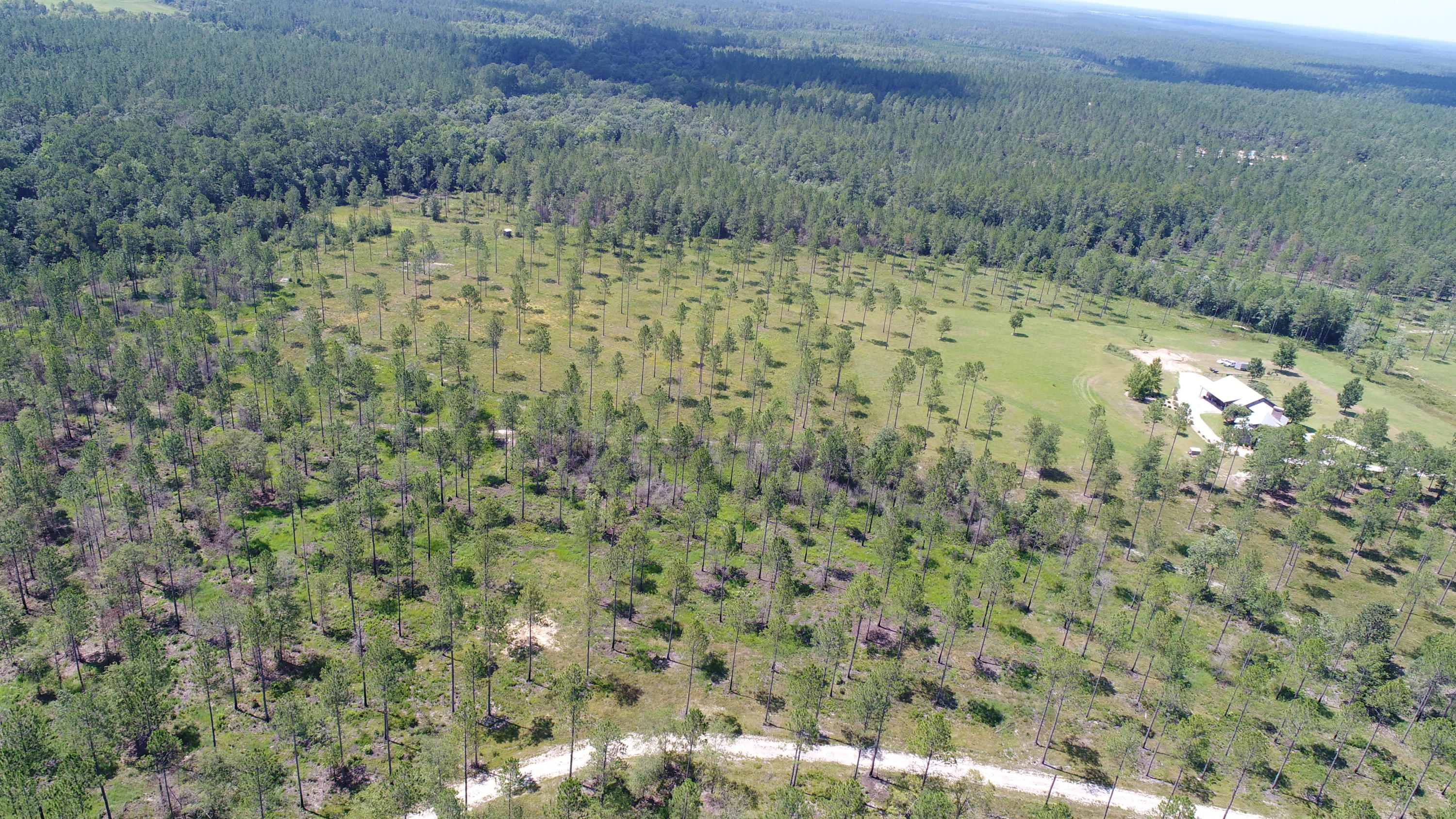 WALTON PLANTATION - Residential