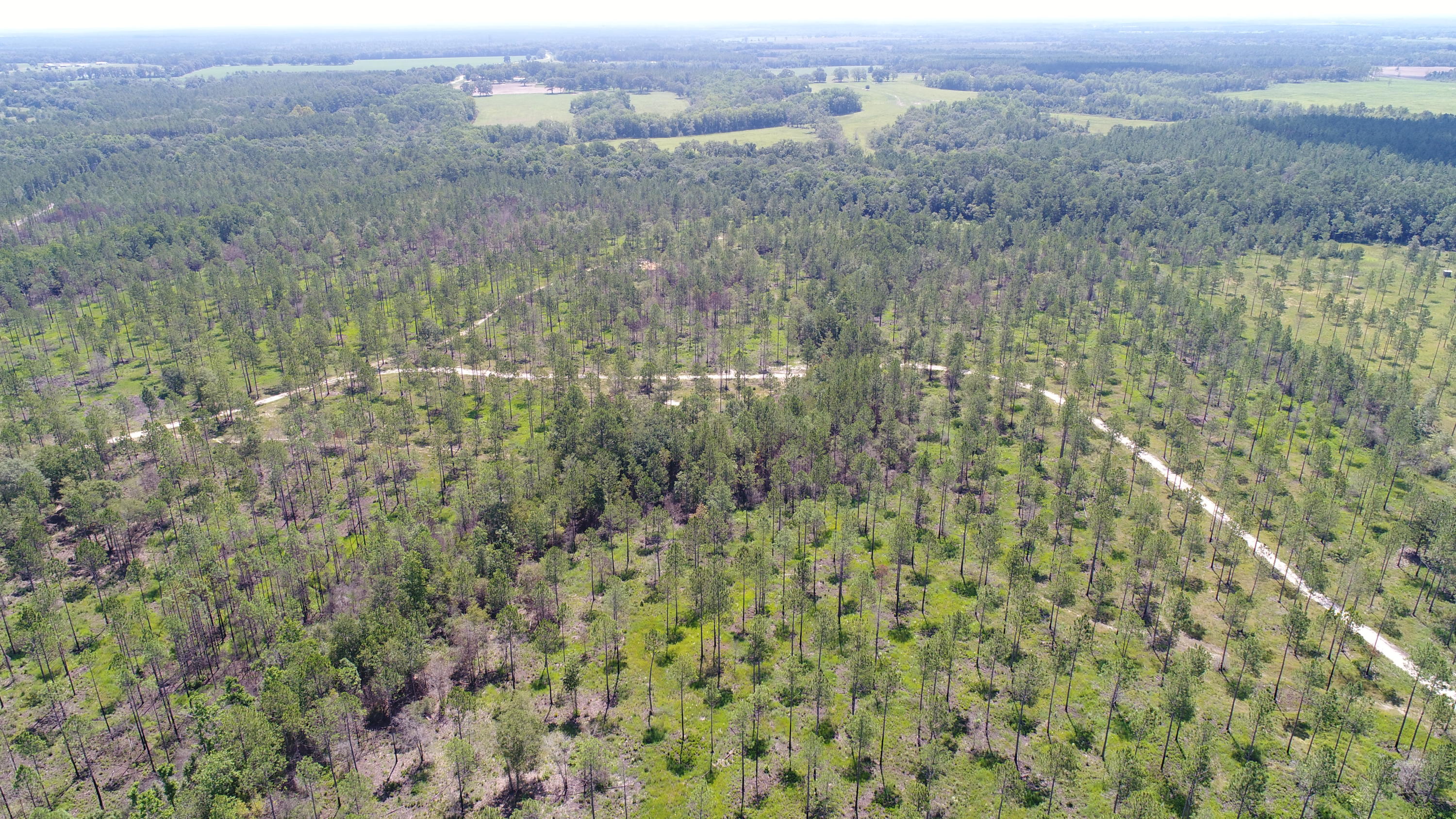 WALTON PLANTATION - Residential
