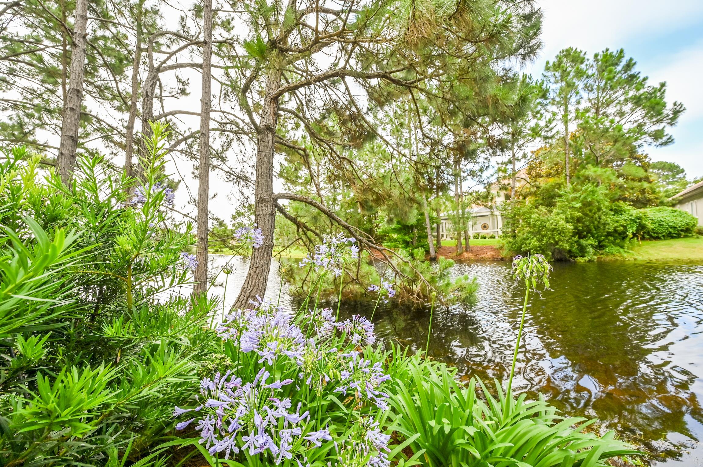 Regatta Bay - Residential