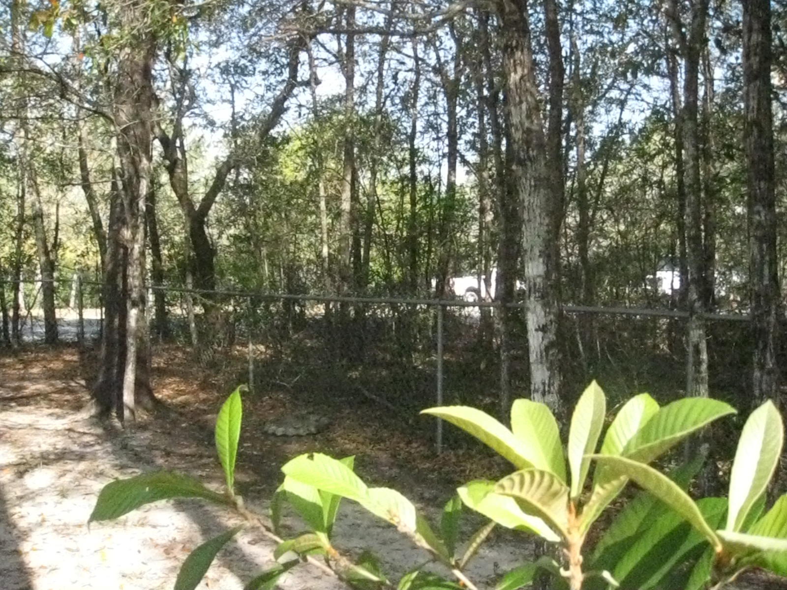 COUNTRYVIEW ESTATES 8TH ADDN - Residential