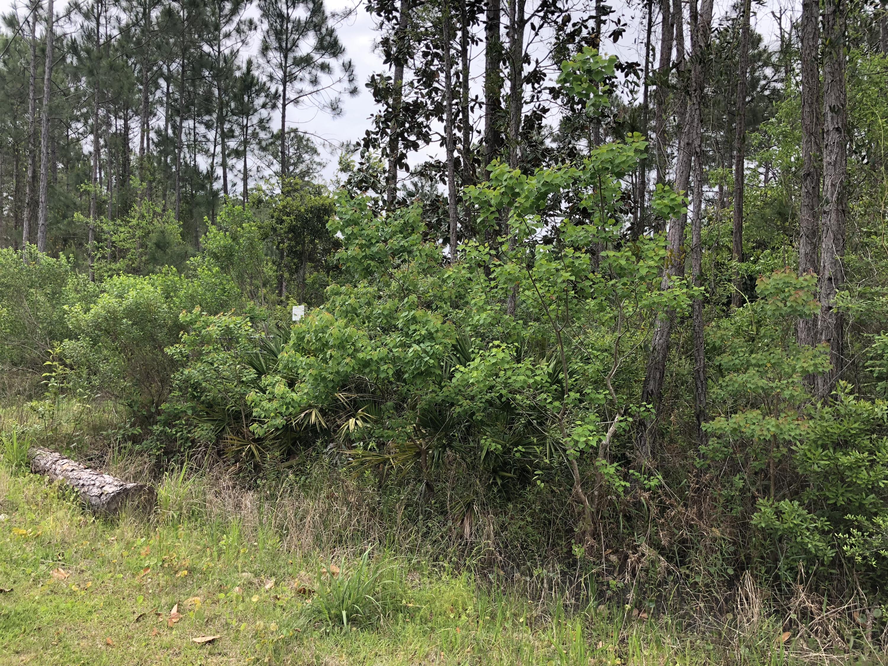 BAY SHADOW ESTATES - Land