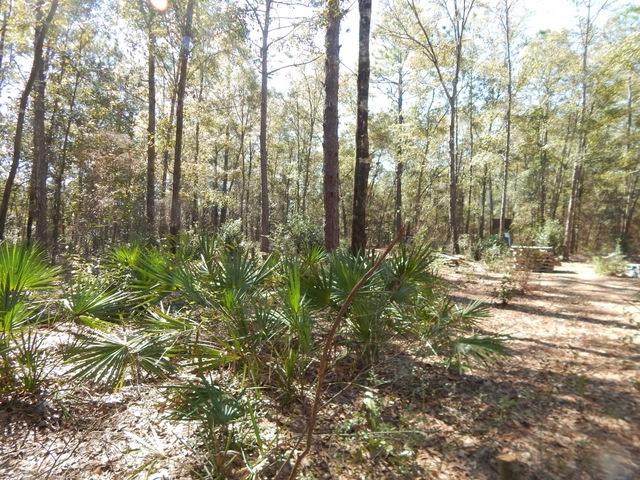 METES AND BOUNDS - Residential