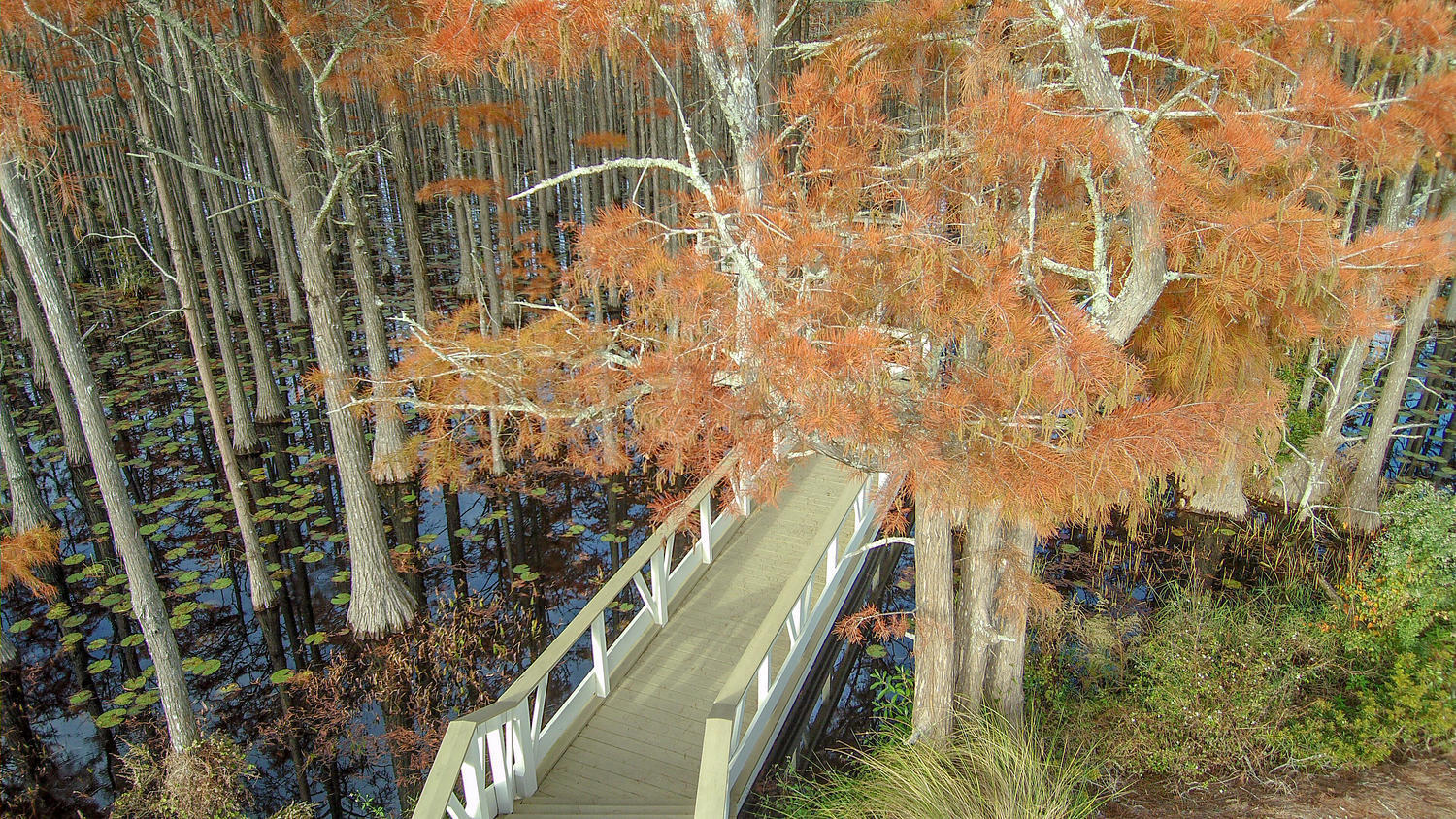 CYPRESS DUNES - Residential