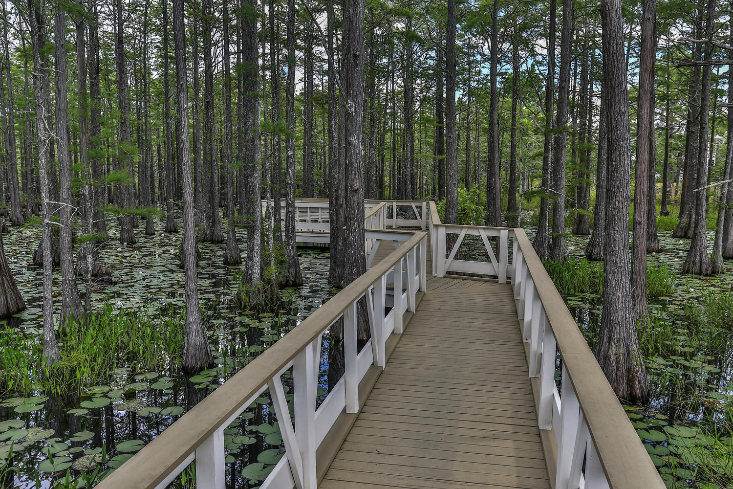 CYPRESS DUNES - Residential