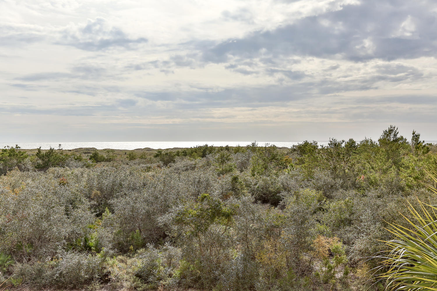 CYPRESS DUNES - Residential