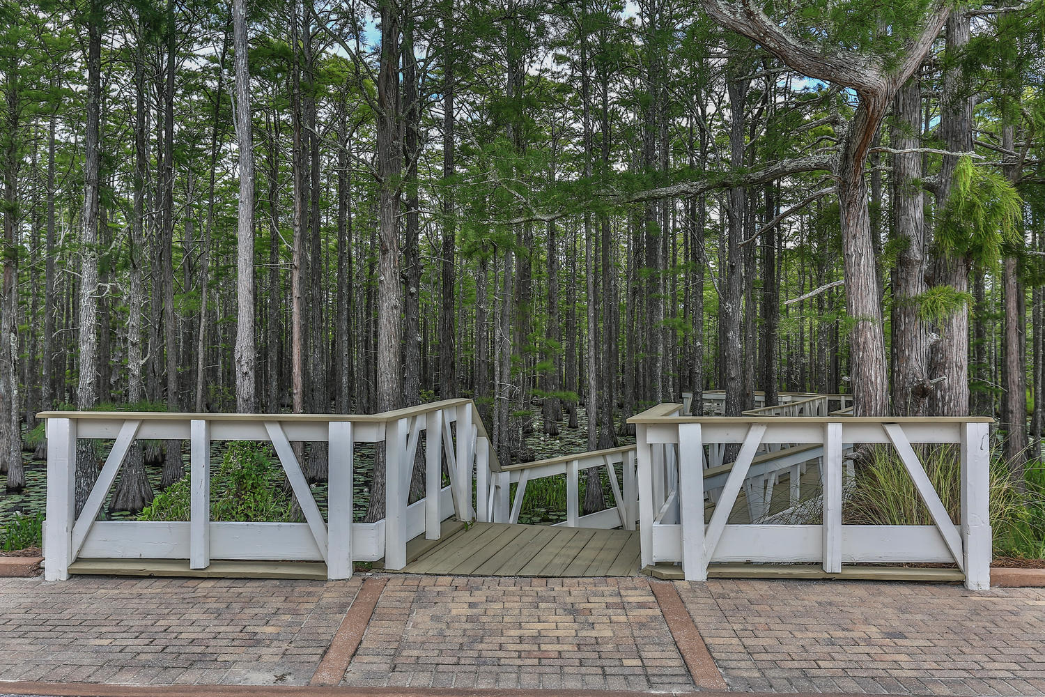 CYPRESS DUNES - Residential