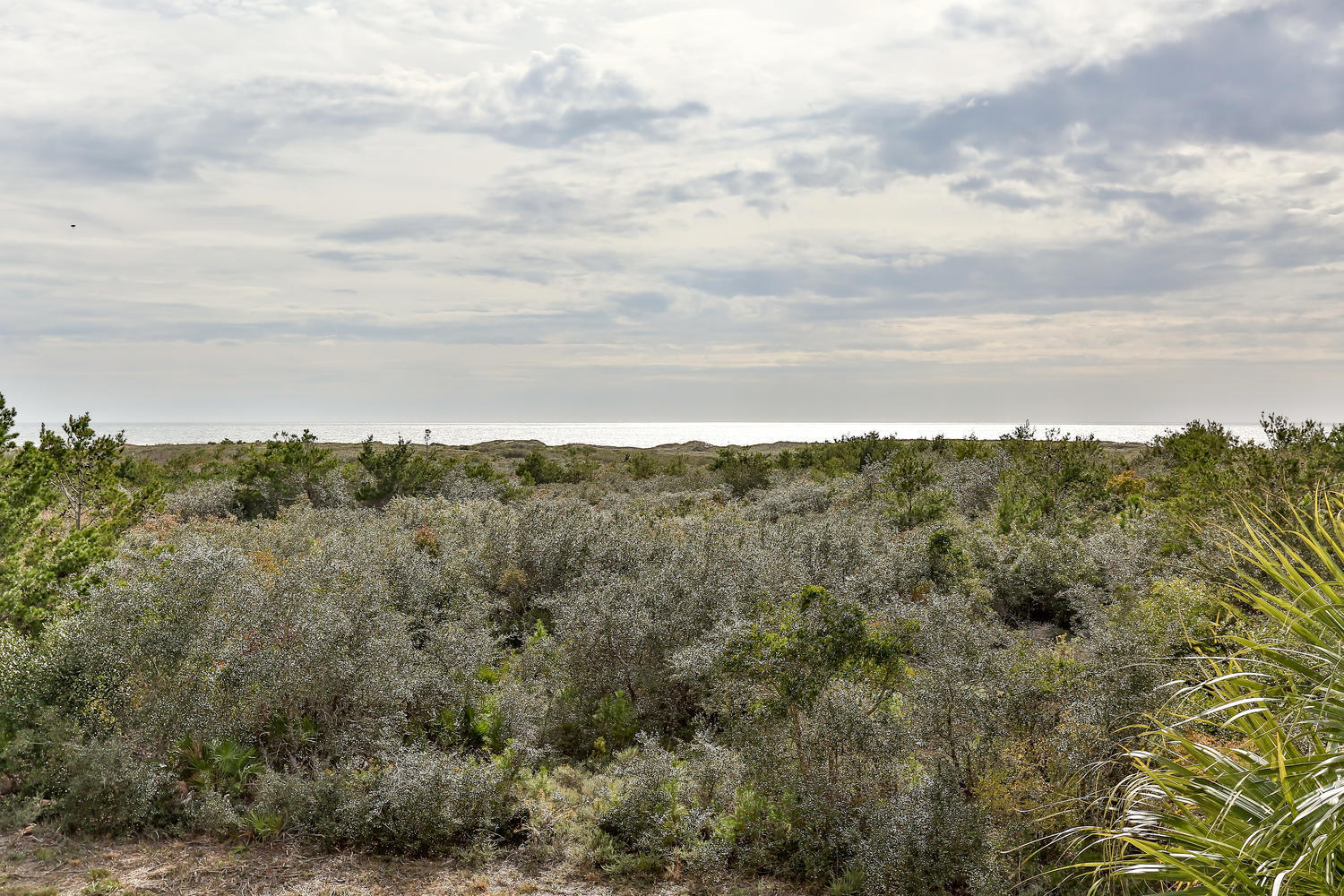 CYPRESS DUNES - Residential