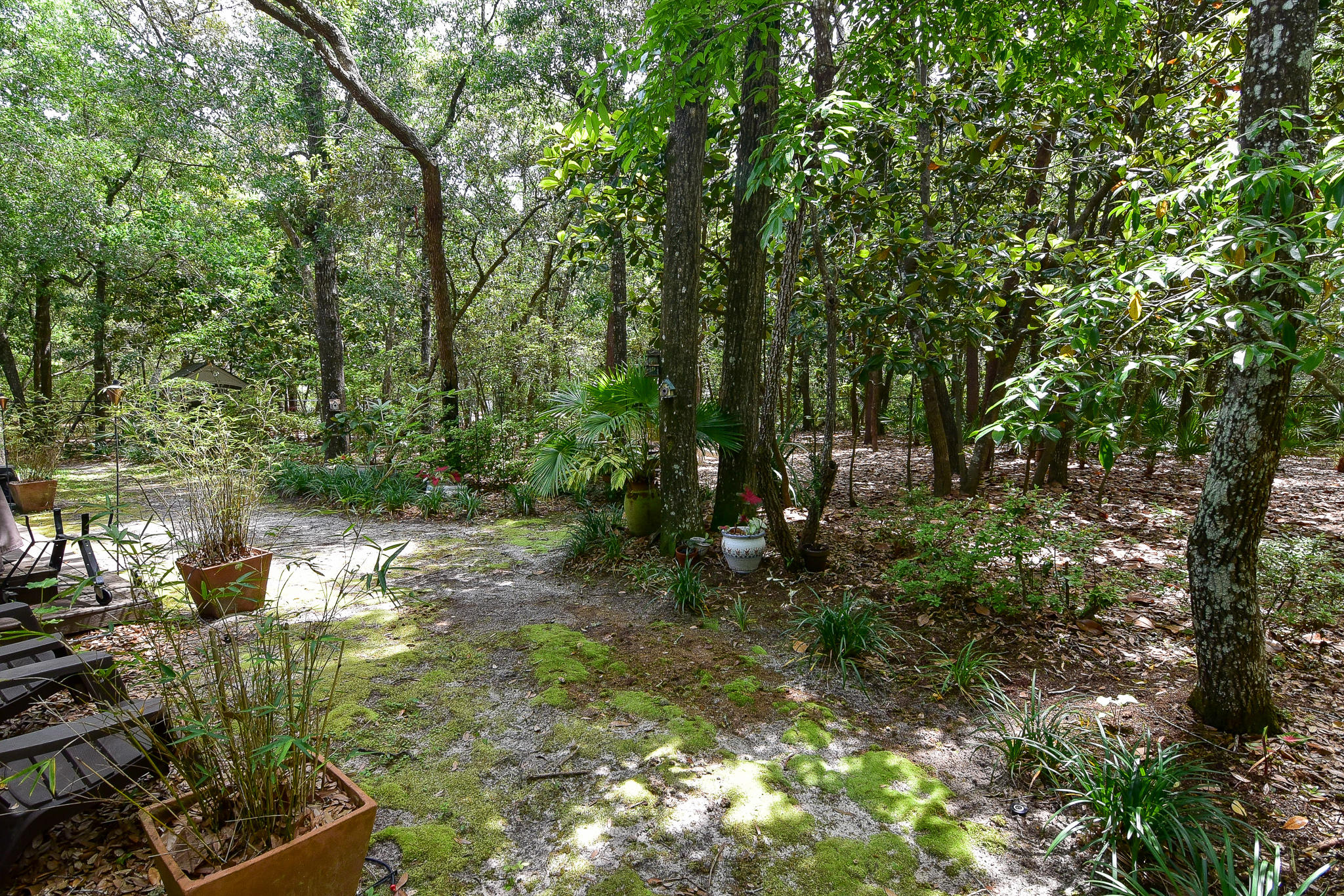 SHIRKS BAYOU - Residential