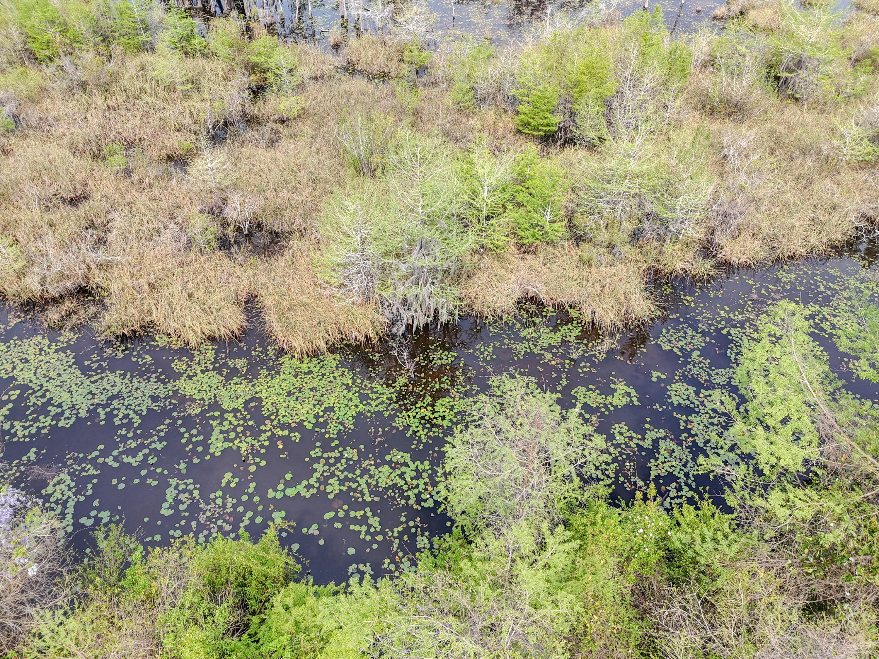 LAKE FOREST ESTATES - Land