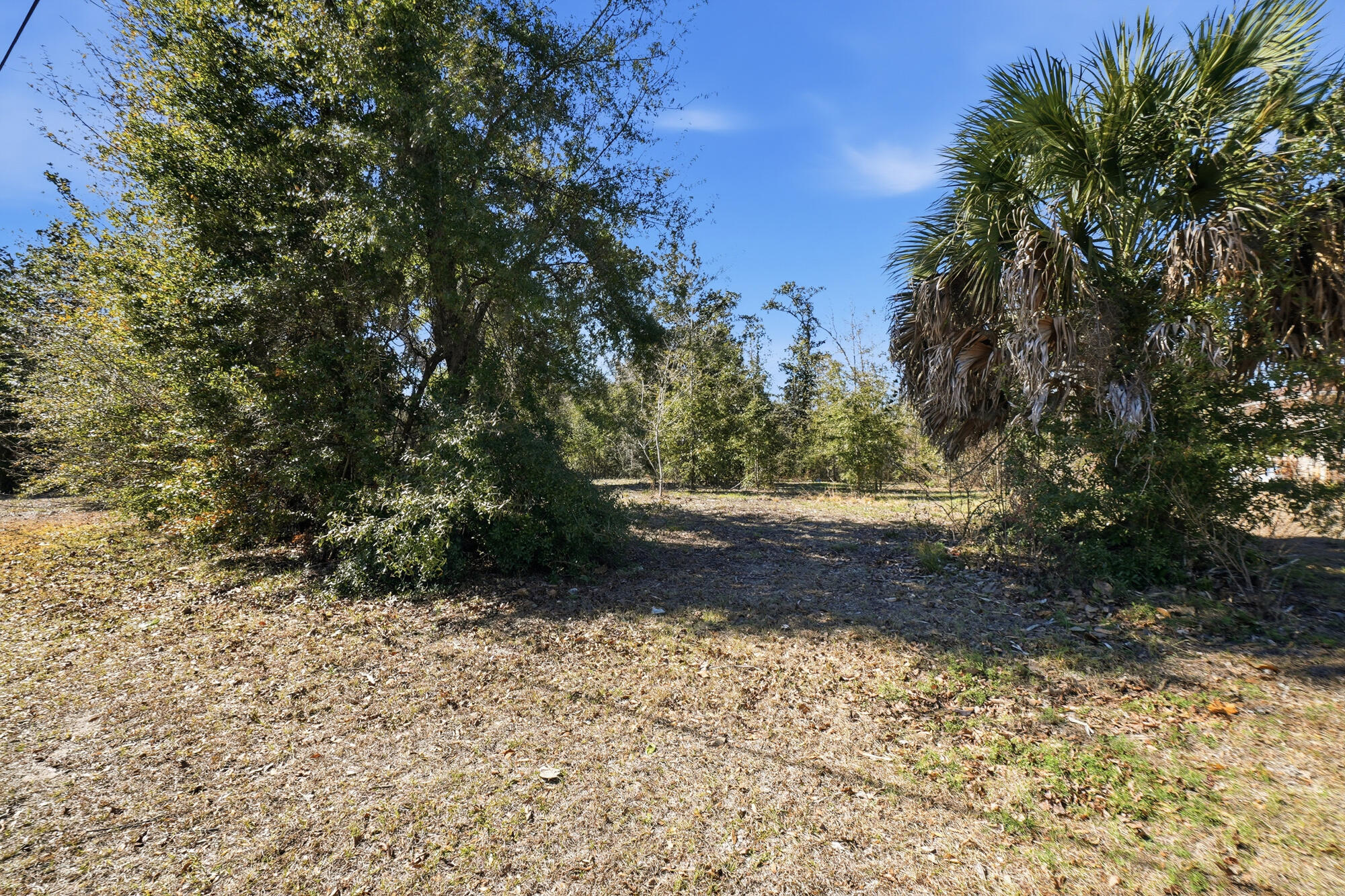 LAKE FOREST ESTATES - Land