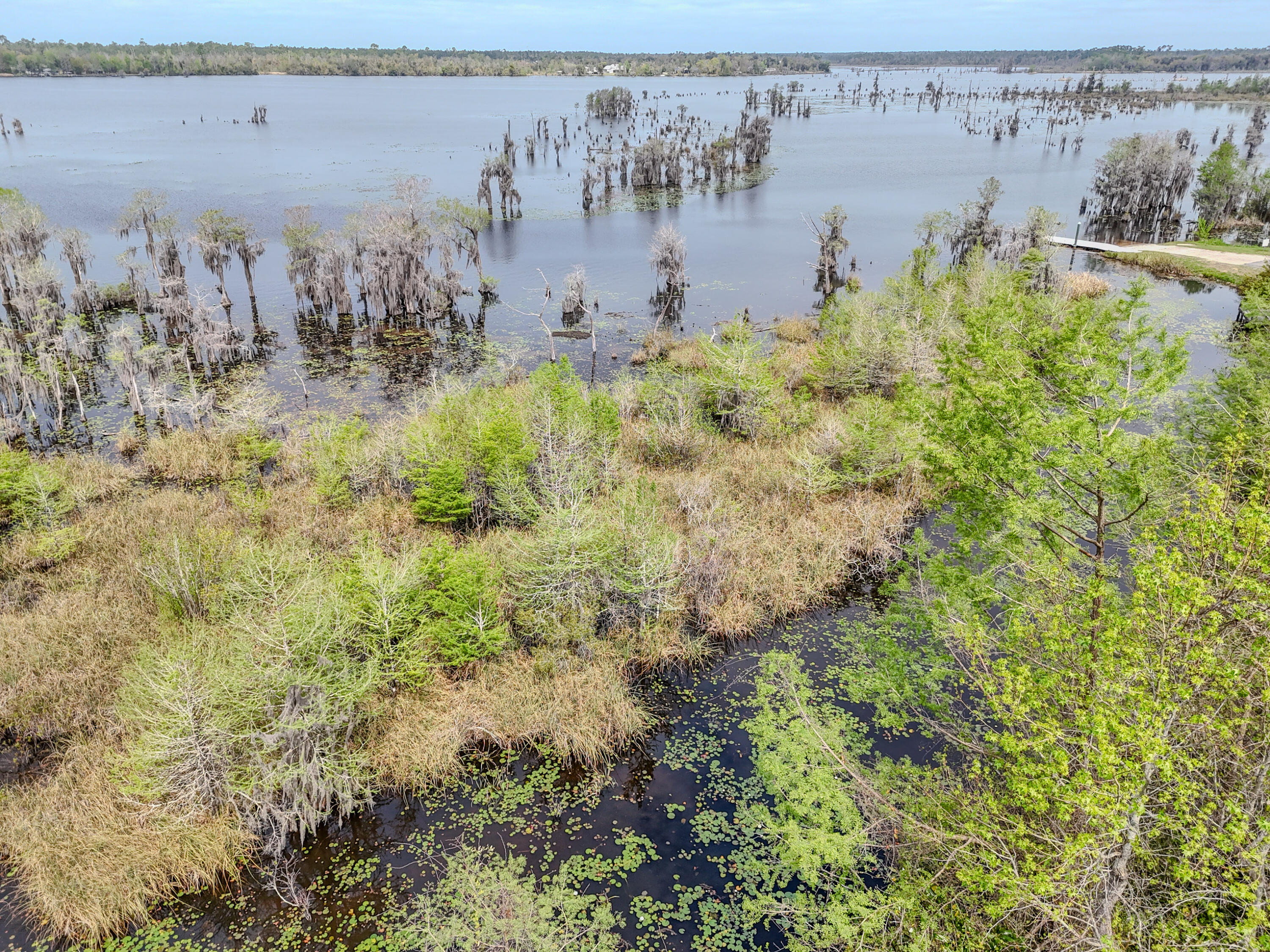 LAKE FOREST ESTATES - Land