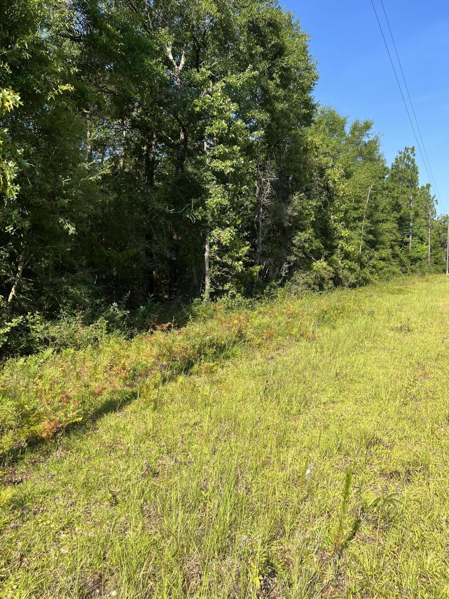 Back on the Market at no fault to sellers.5.4 Acres in the country. Uncleared land with a small creek that runs through it. Bring your house plans and check out this lot. There is power hook ups available and city tap for water available. With this unrestricted property the opportunities are endless. There are signs of deer and turkey for all you hunters. Bring out your ATVS and make some trails. 5 minutes away from exit 70 to get to I-10. Located 25 min East of Crestview and about 8 minutes from the Emerald Coast Zoo!