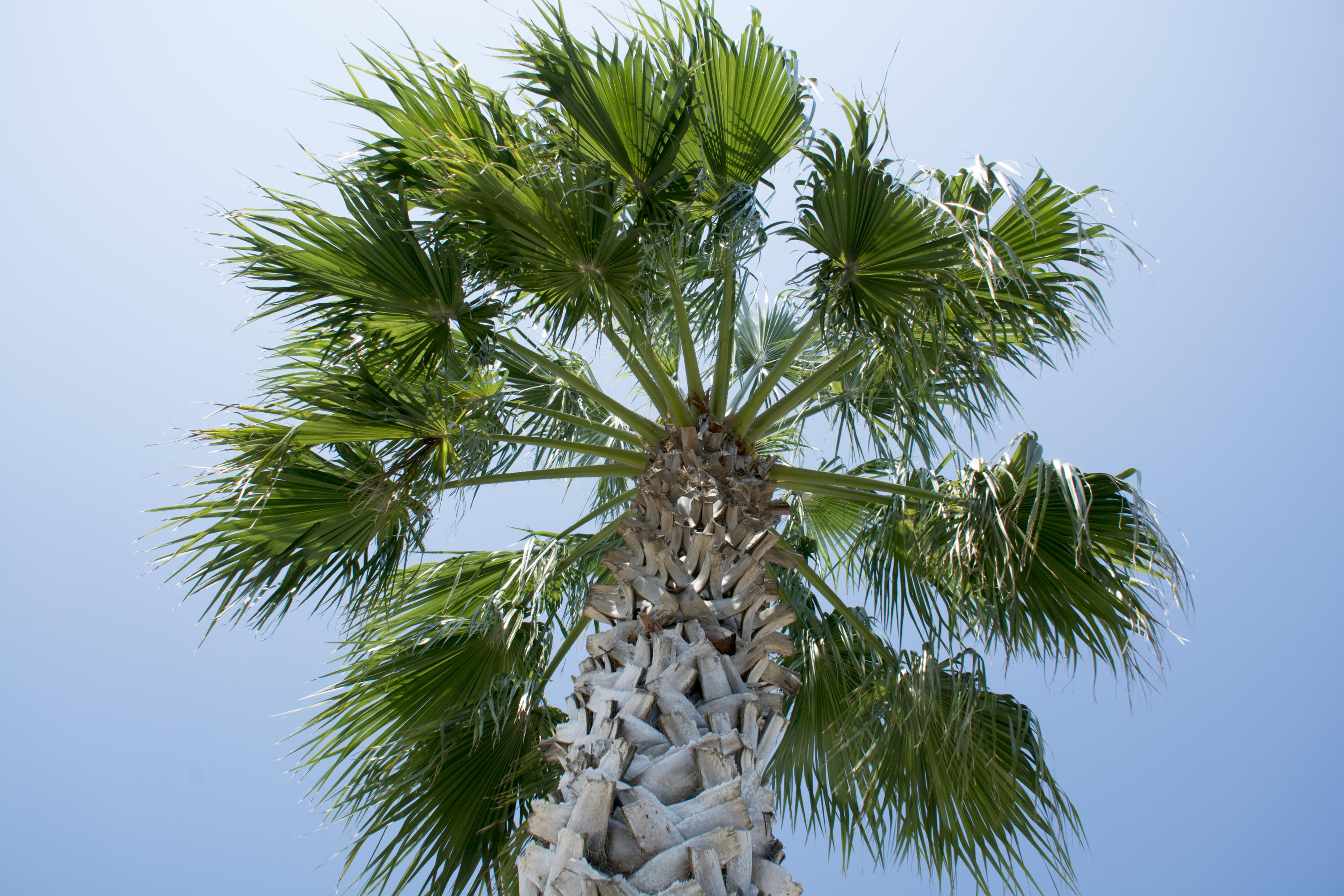 Heritage Park - Residential