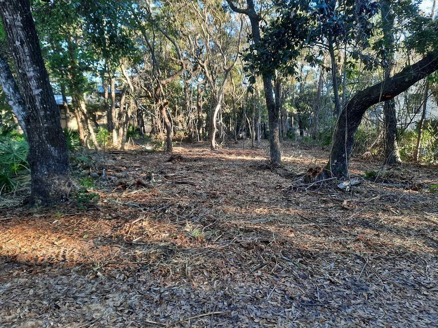 This is one of the last canal front lots in Old Seagrove.Large lot with beautiful trees in a quite nieghborhood to build your permanent or second home.Launch your kayak or canoe on the canal and journey to Western Lake.Off the main roads but easy walking or biking to Seaside,several resturants,shopping,and the beautiful white sand beaches.You are also very close to Watercolor where Publix and other retail shops are located.