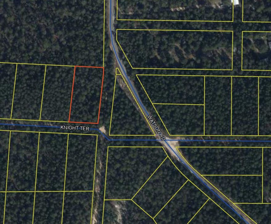 Time to own a nice remote lot in Florida. 1 Big Acre! Invest in the future. Many uses, hole or develop. Build your dream home!