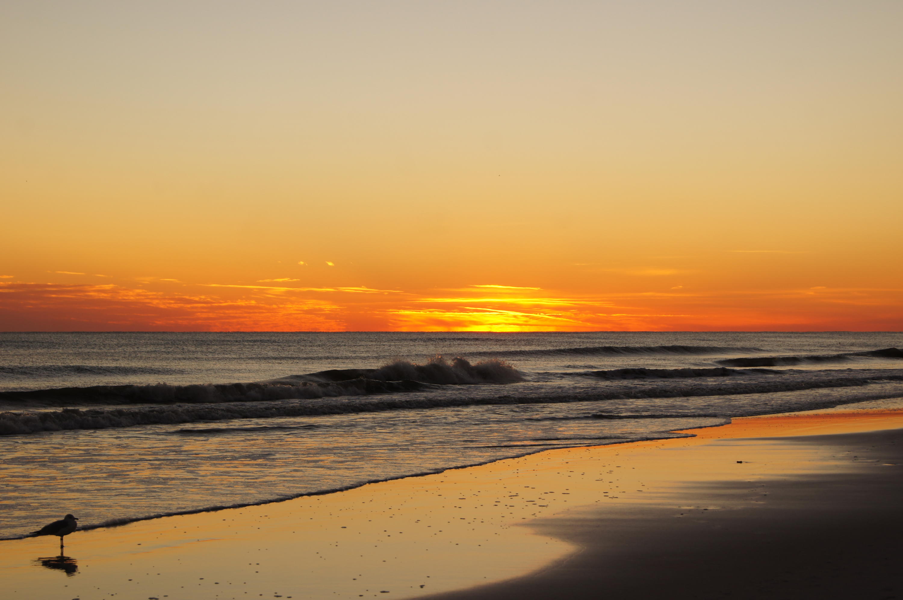 PAVILION PALMS - Residential