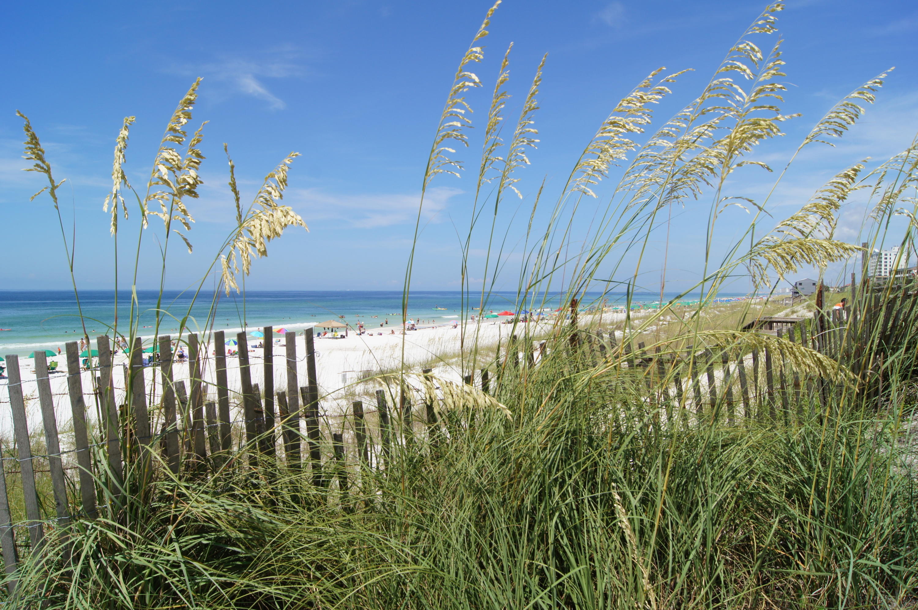 PAVILION PALMS - Residential