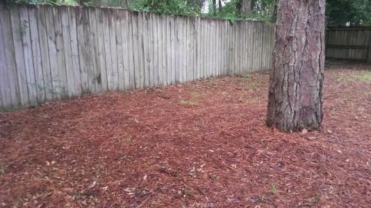 Northern Pines - Residential